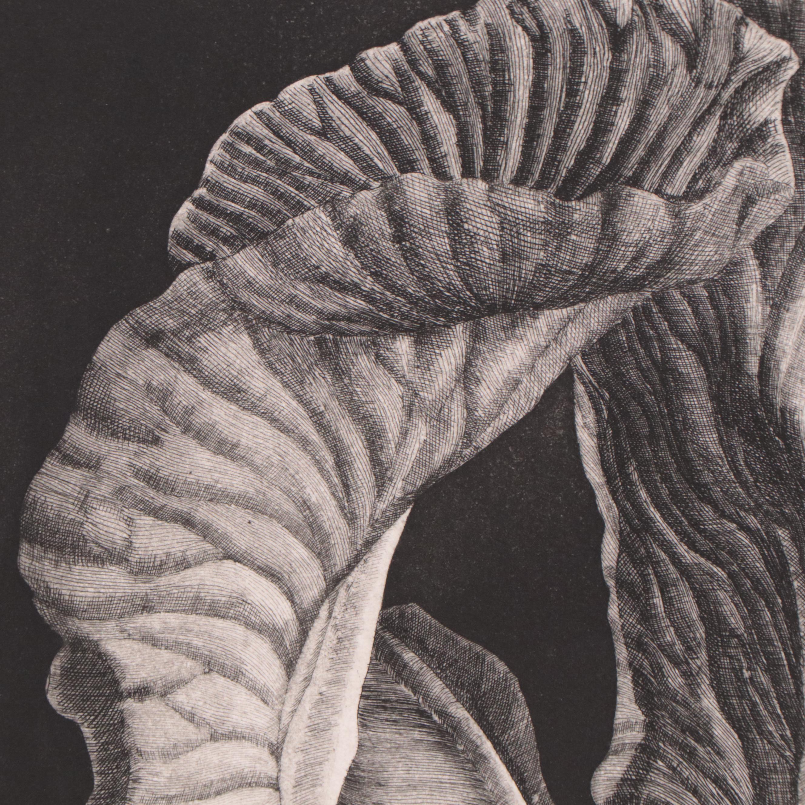 Yasuhiro Easki Etching "Fourth Iris," 1977