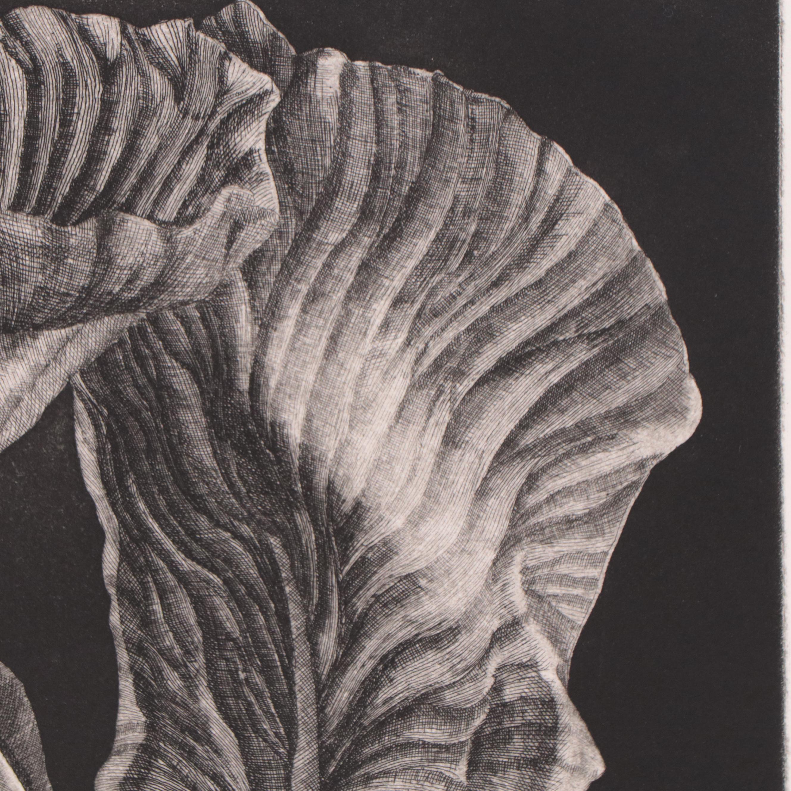 Yasuhiro Easki Etching "Fourth Iris," 1977