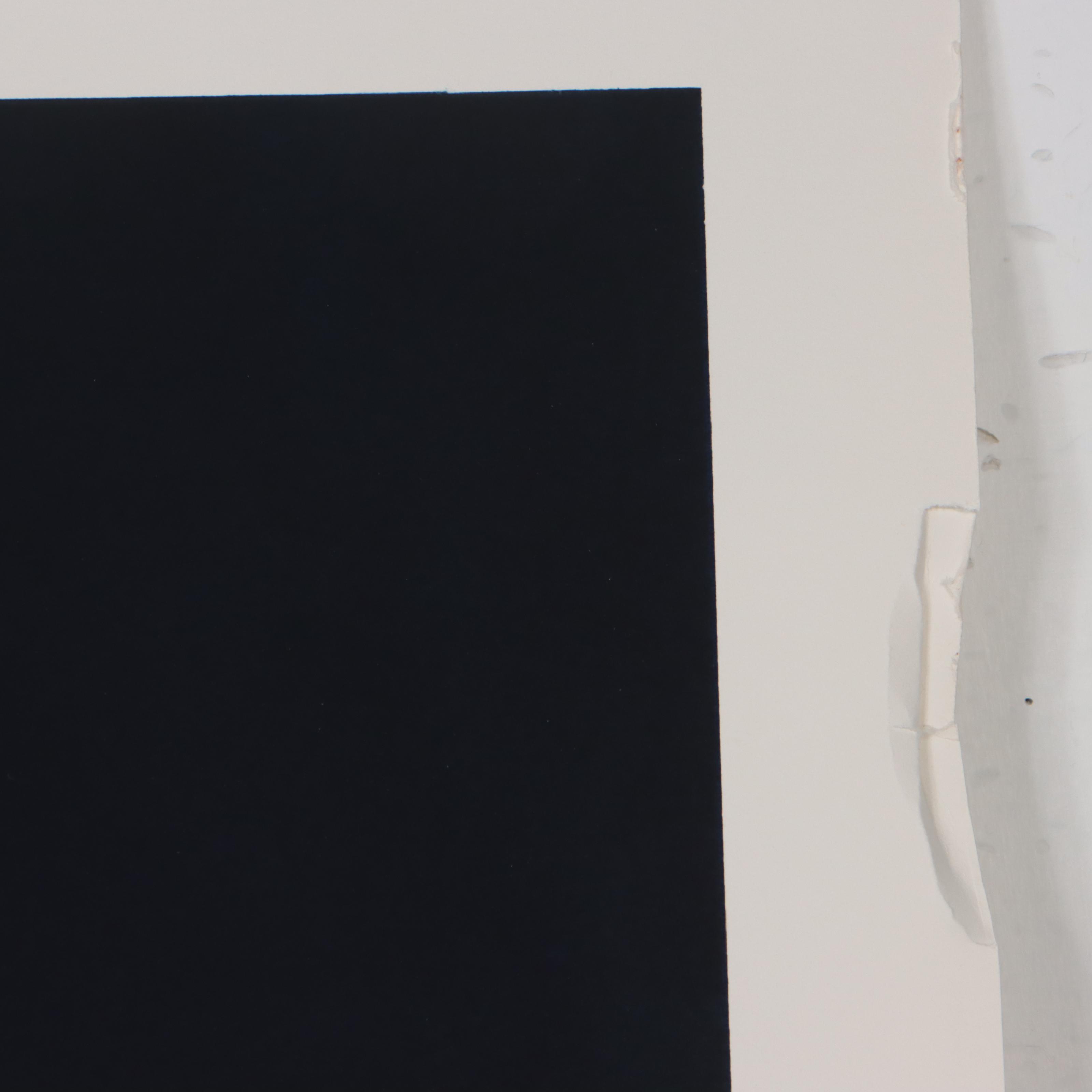 Thomas Whelan Benton Serigraph "White Cap," 1979