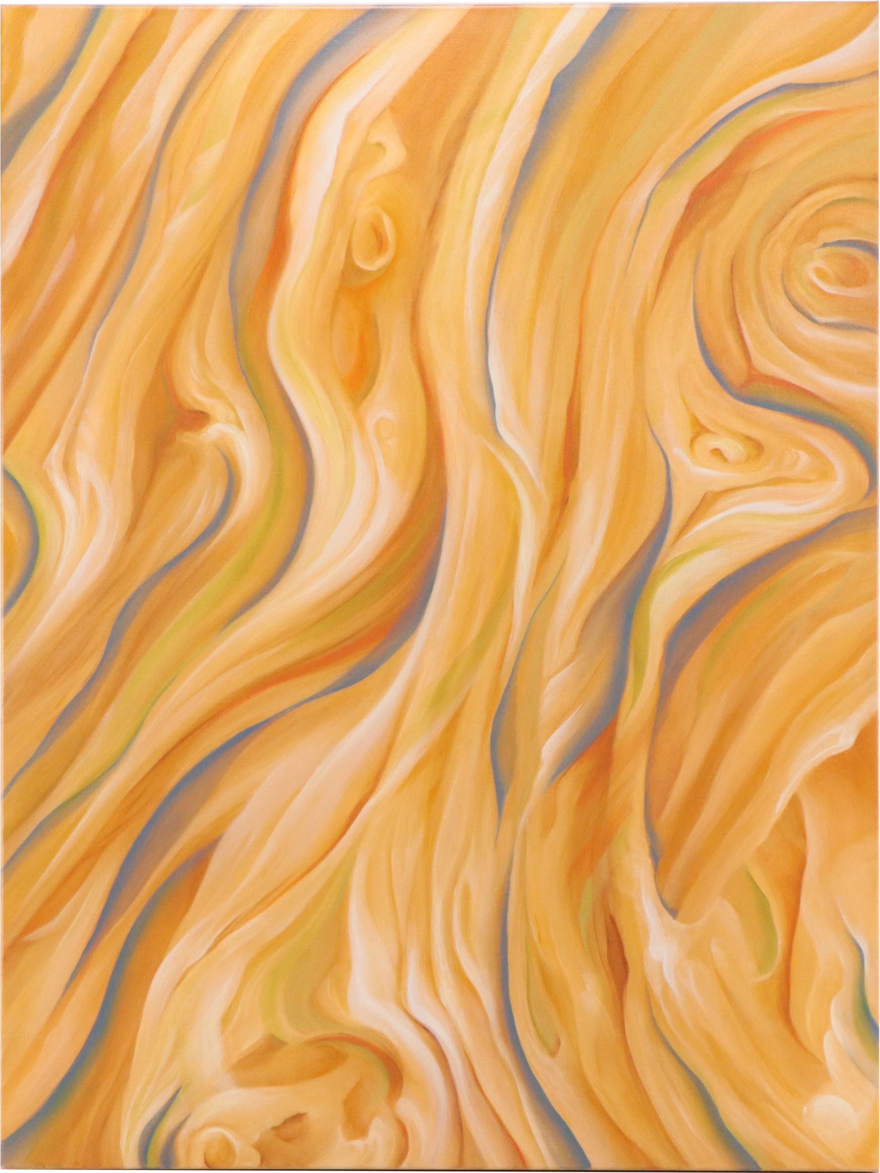 Deborah Bigeleisen Abstract Oil Painting "Untitled No. 13," 2010