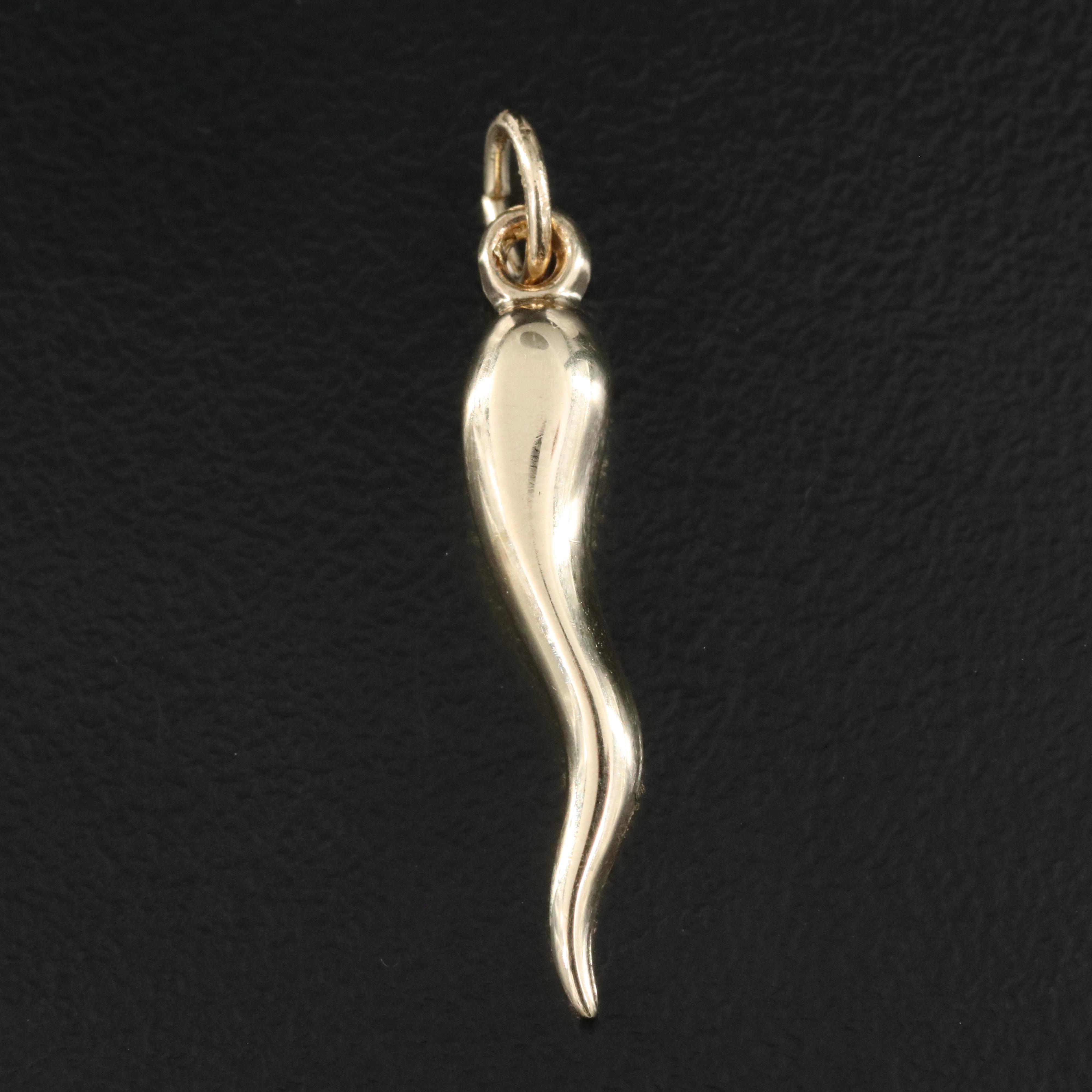 14K Italian Cornicello Pendant