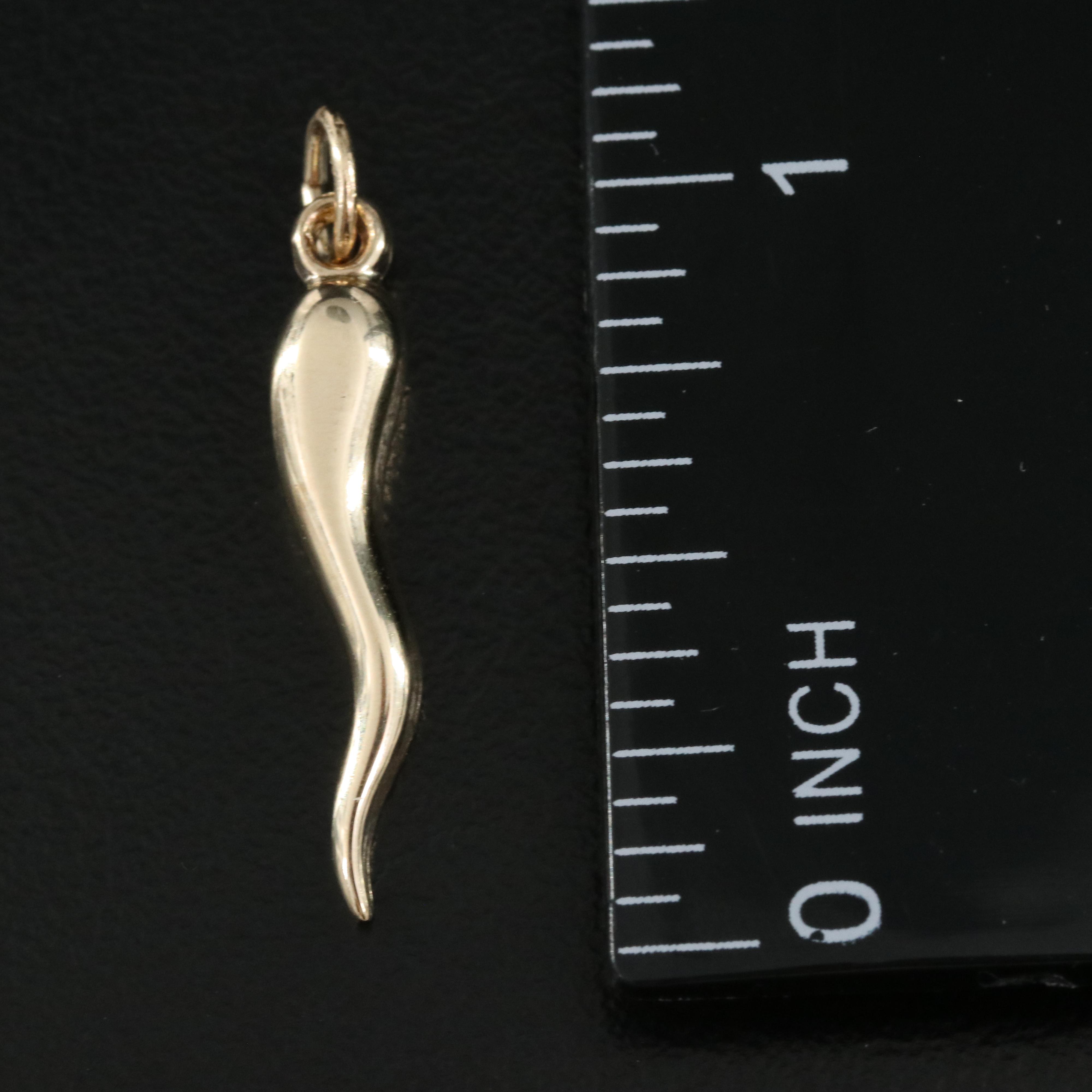 14K Italian Cornicello Pendant