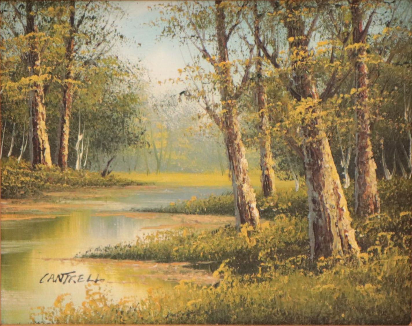 Phillip Cantrell Oil Painting of Forest Scene