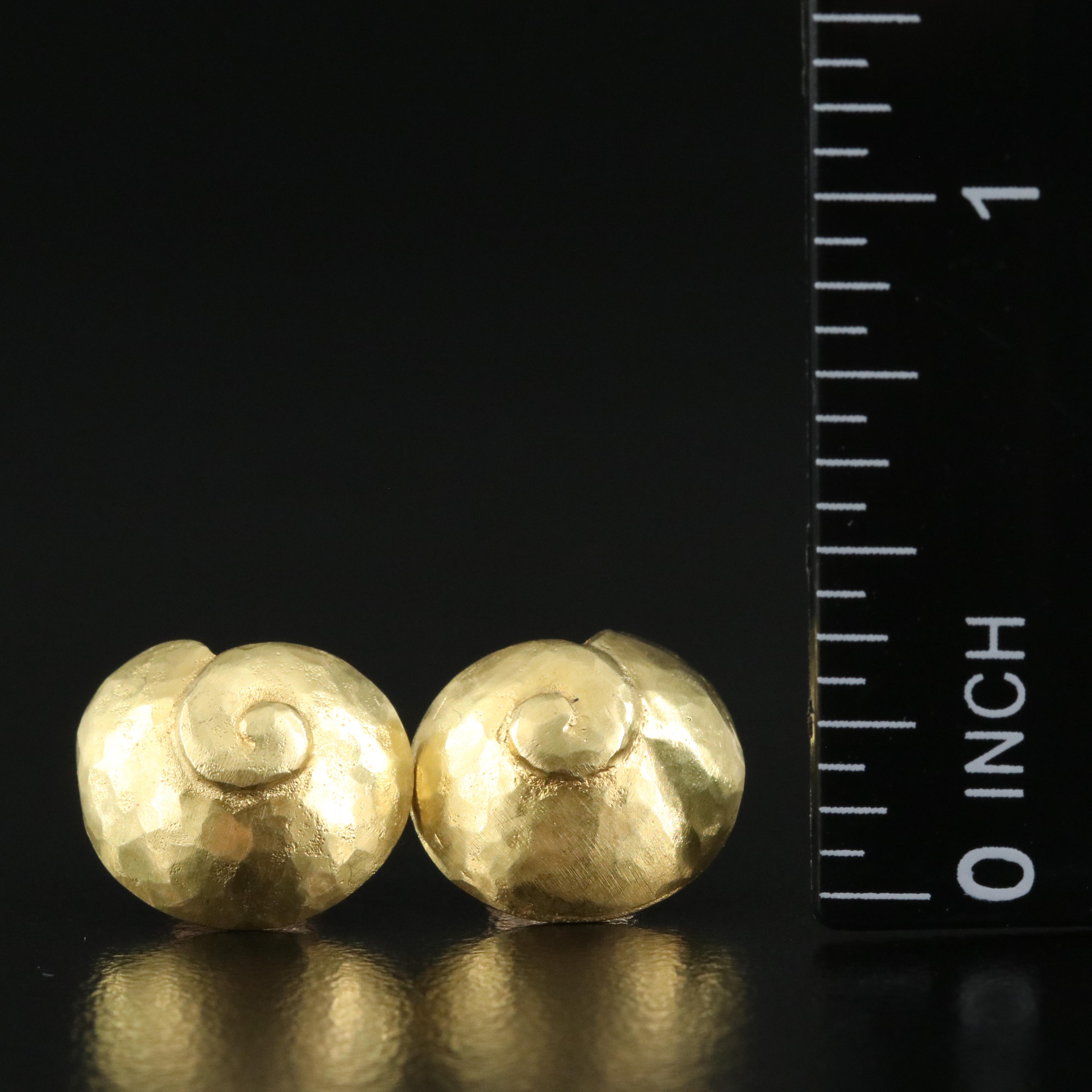 14K Spiral Shell Earrings