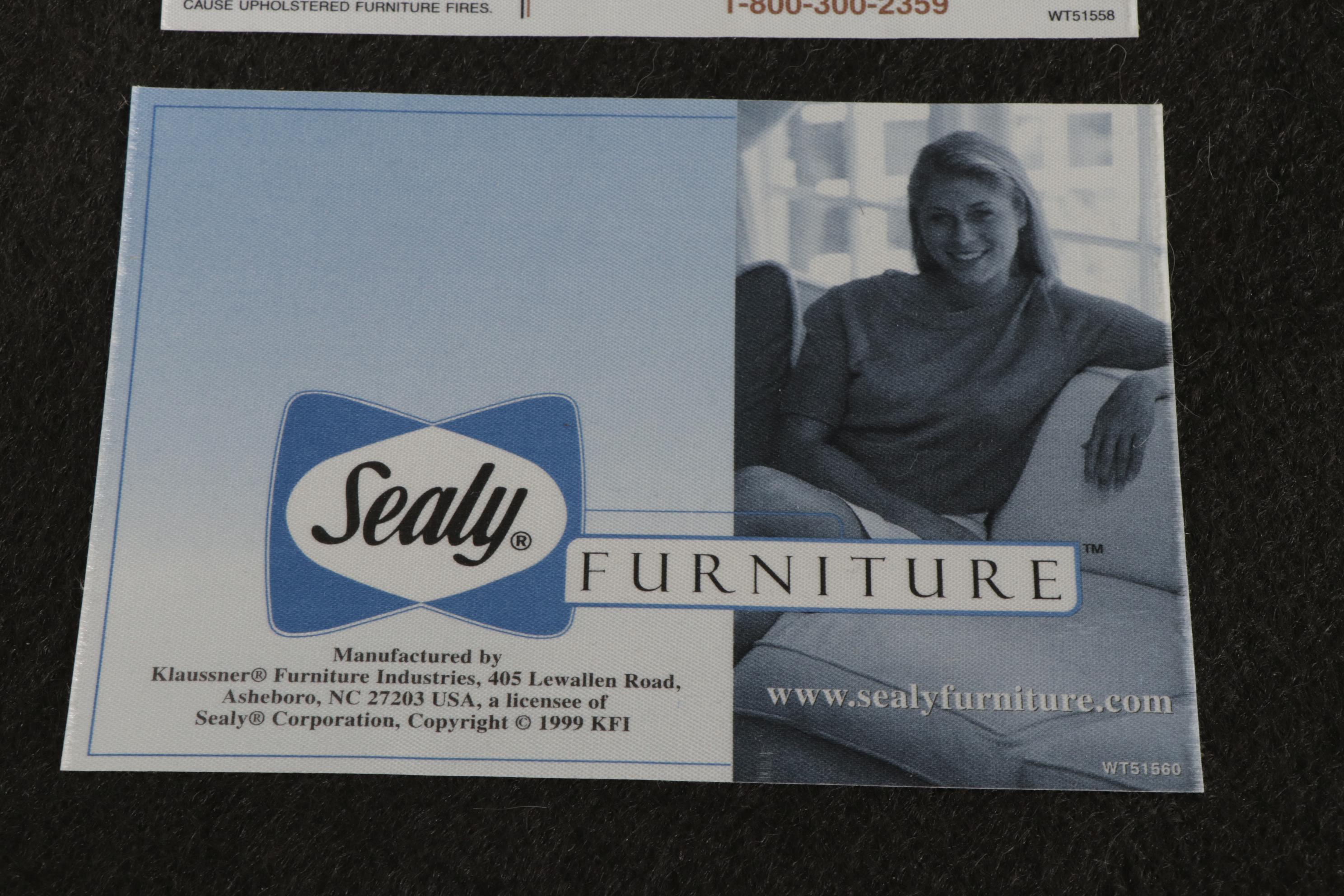 Klaussner for Sealy Oversized Easy Chair and Ottoman