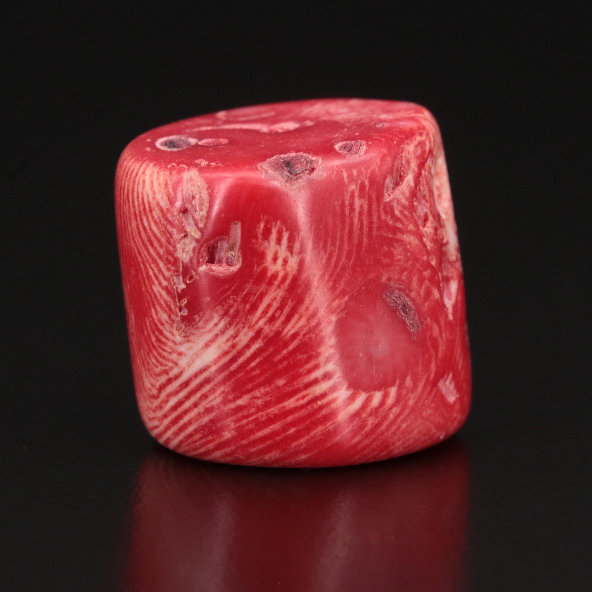 Loose Cylinder Bead Coral