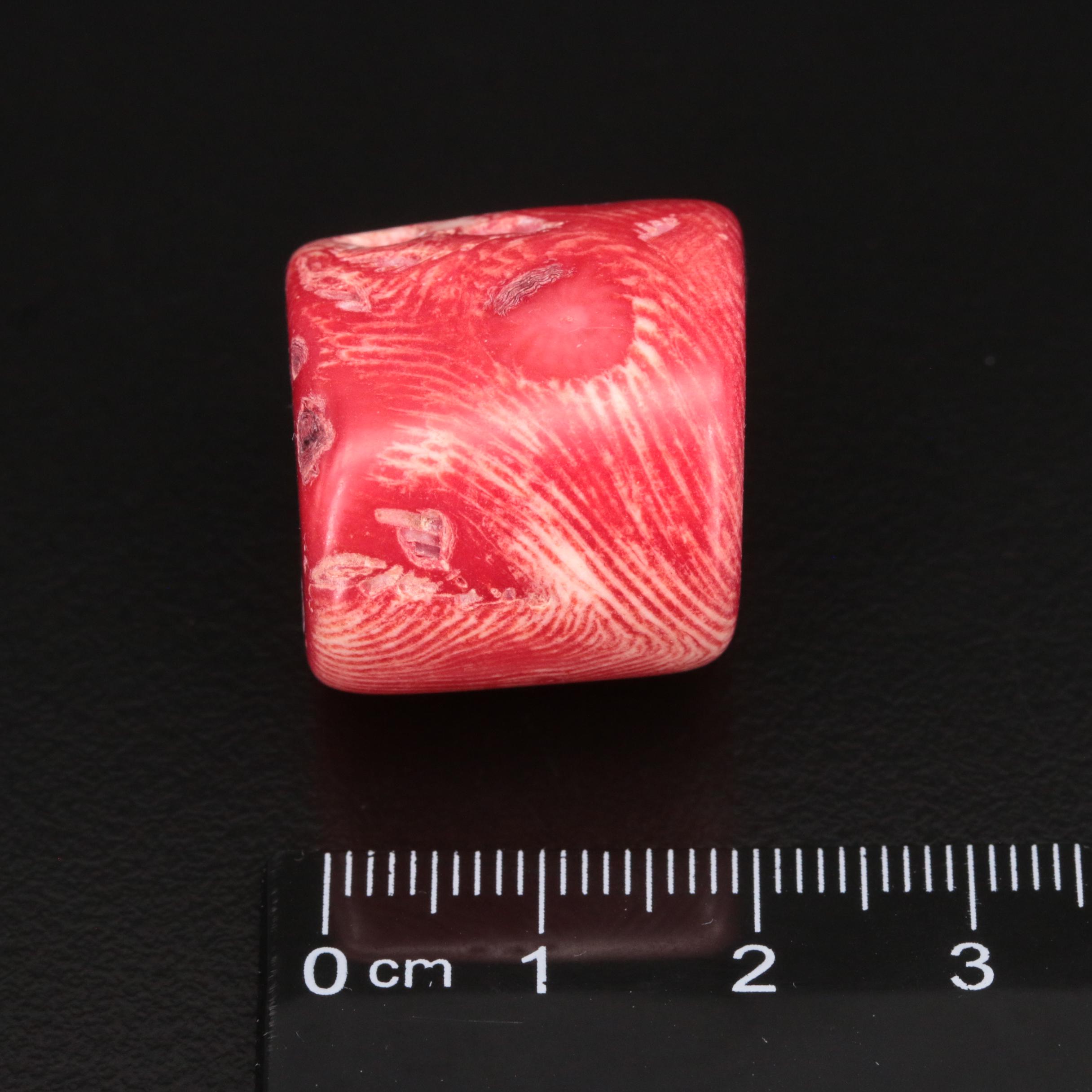 Loose Cylinder Bead Coral