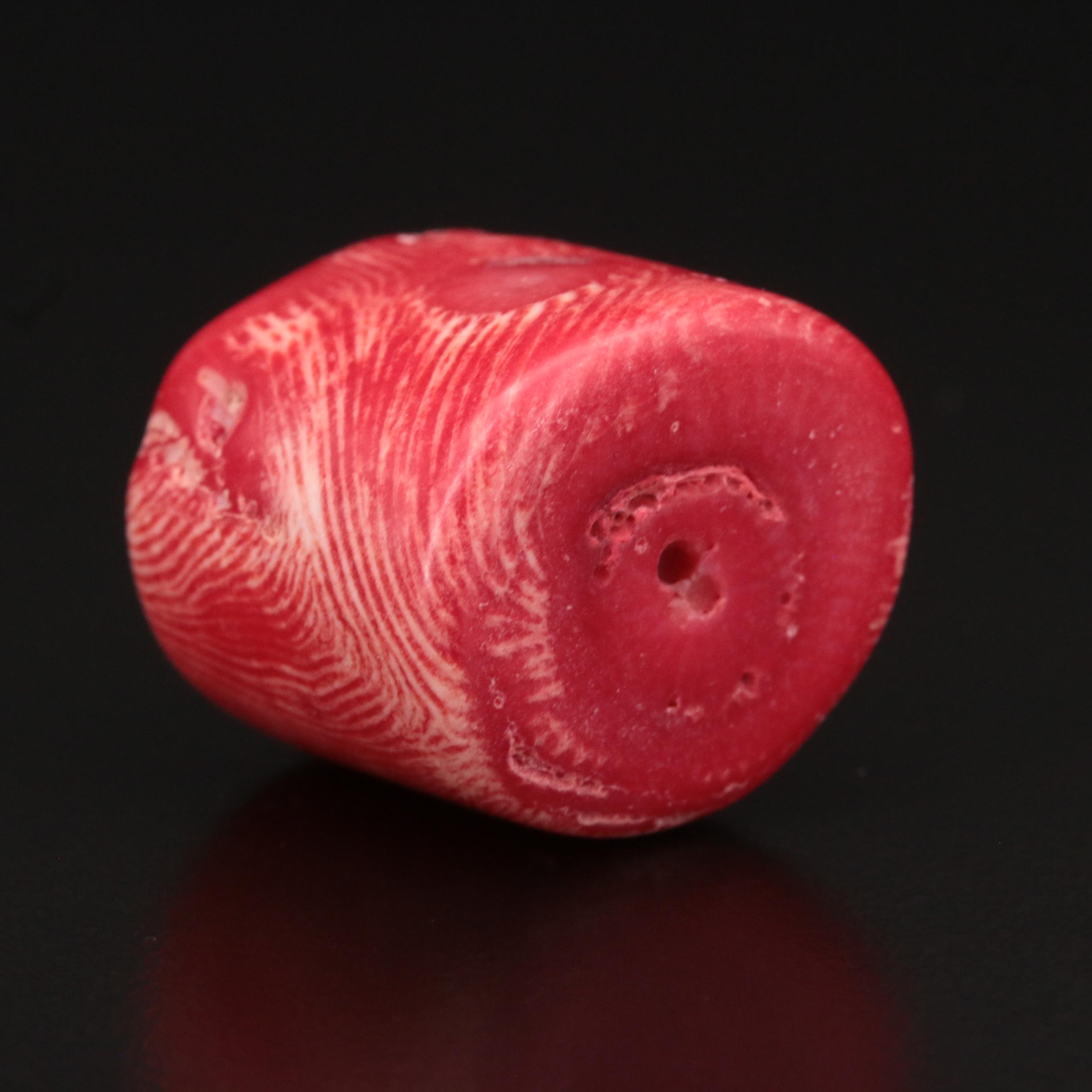 Loose Cylinder Bead Coral