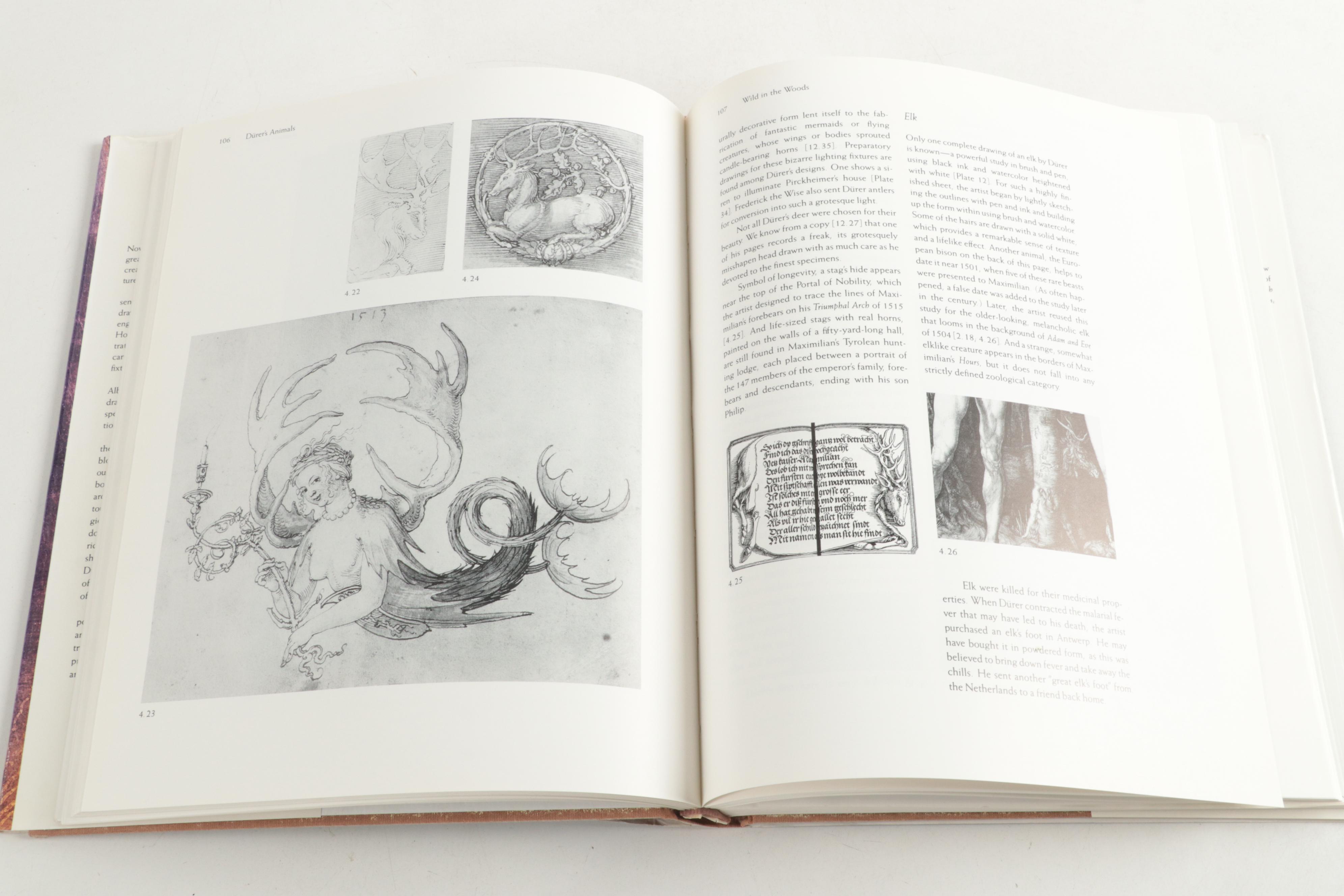 "Complete Paintings of Dürer" and Other Albrecht Dürer Books
