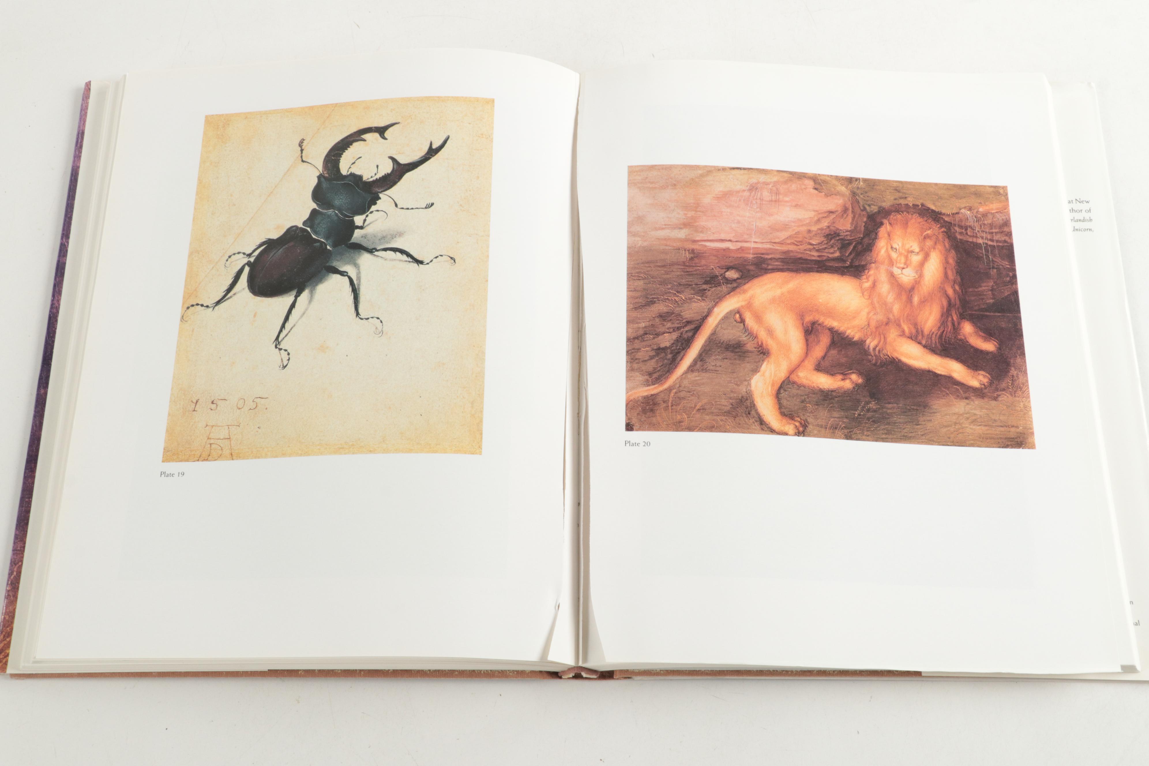 "Complete Paintings of Dürer" and Other Albrecht Dürer Books