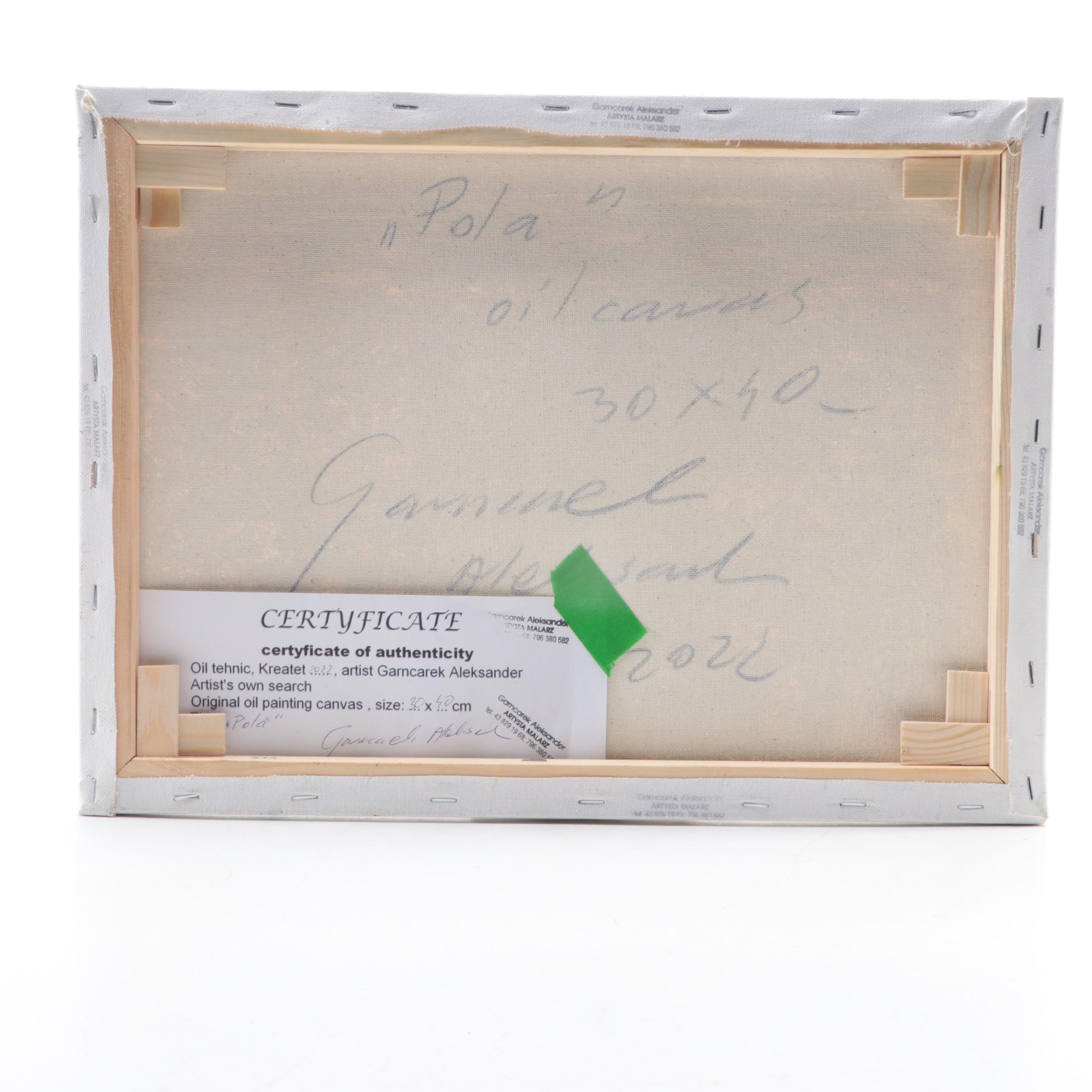 Garncarek Aleksander Landscape Oil Painting "Pole," 2022