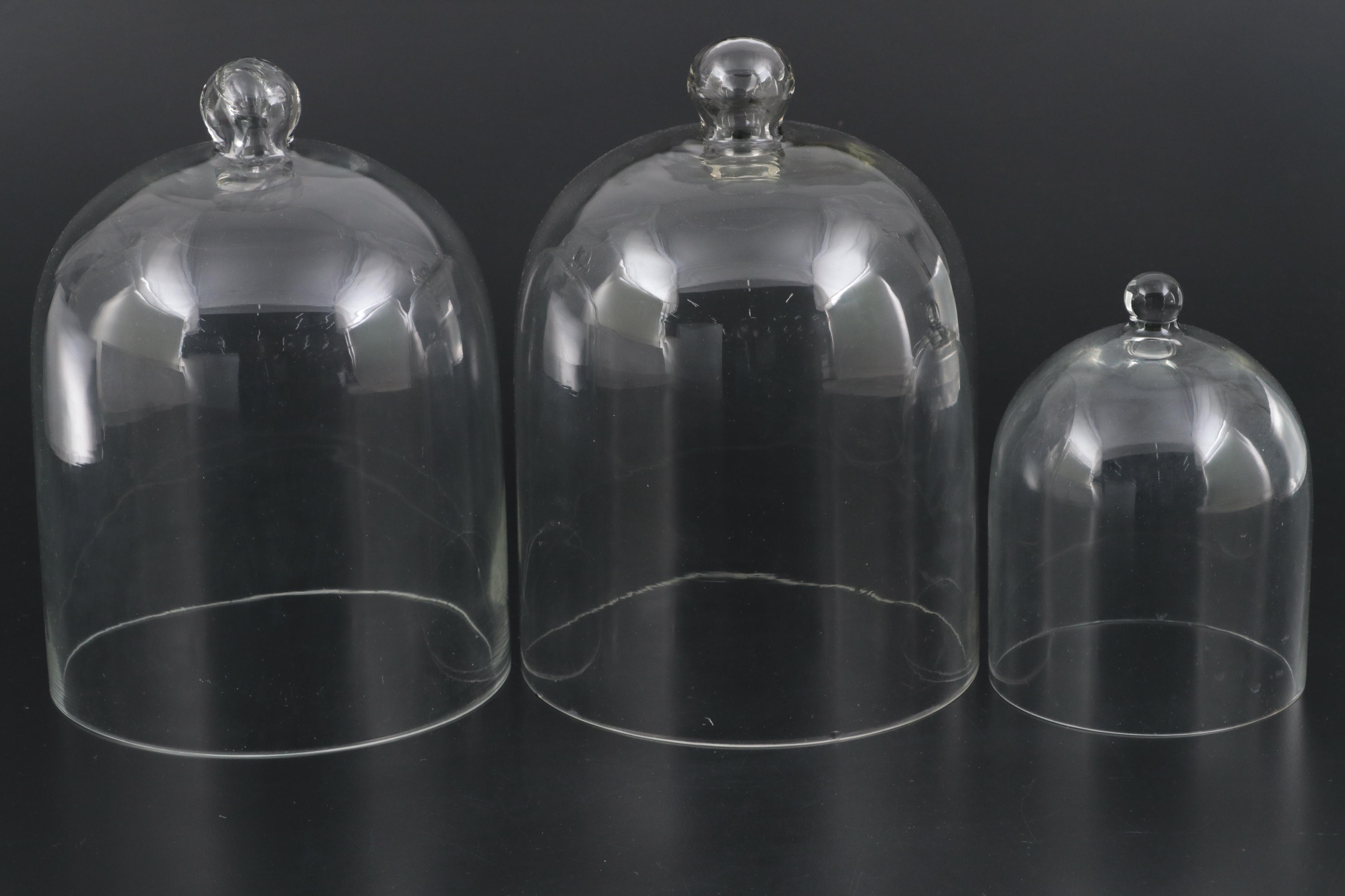 Clear Glass Cloches with Pedestal Stands
