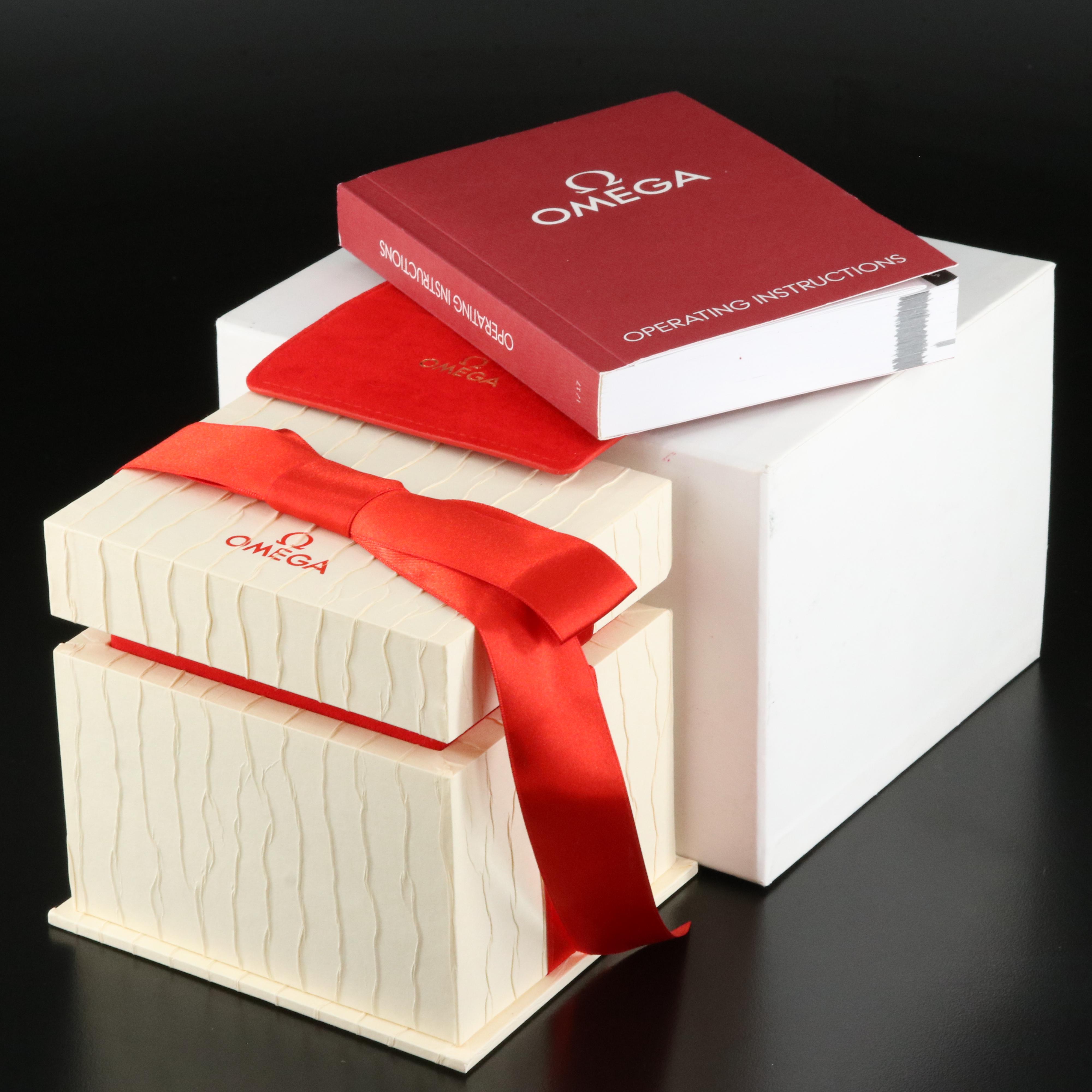 2006 Omega Seamaster GMT Chronometer Stainless Steel Watch