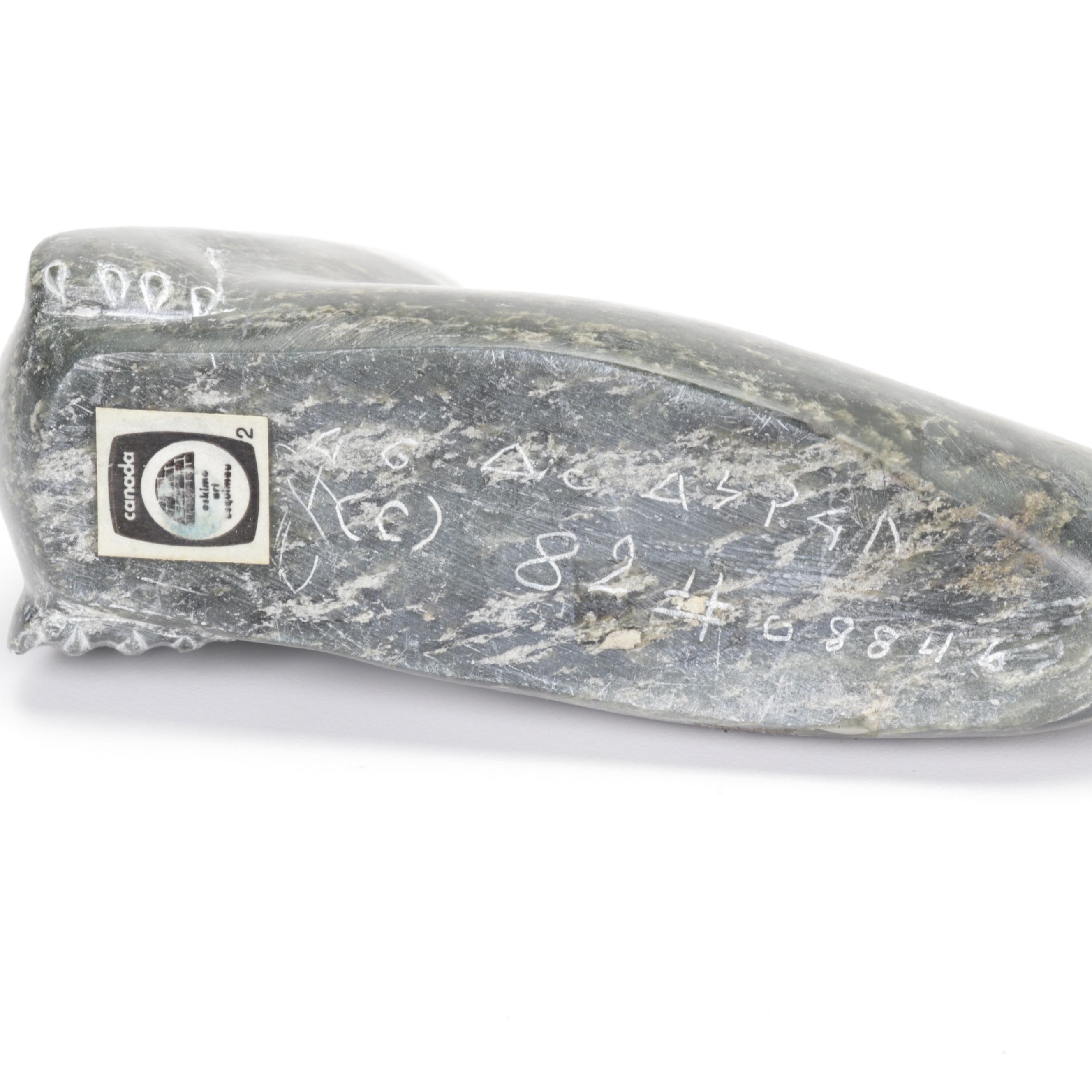 "Native American Arts and Crafts" by Colin F. Taylor Ph.D with Pottery and More