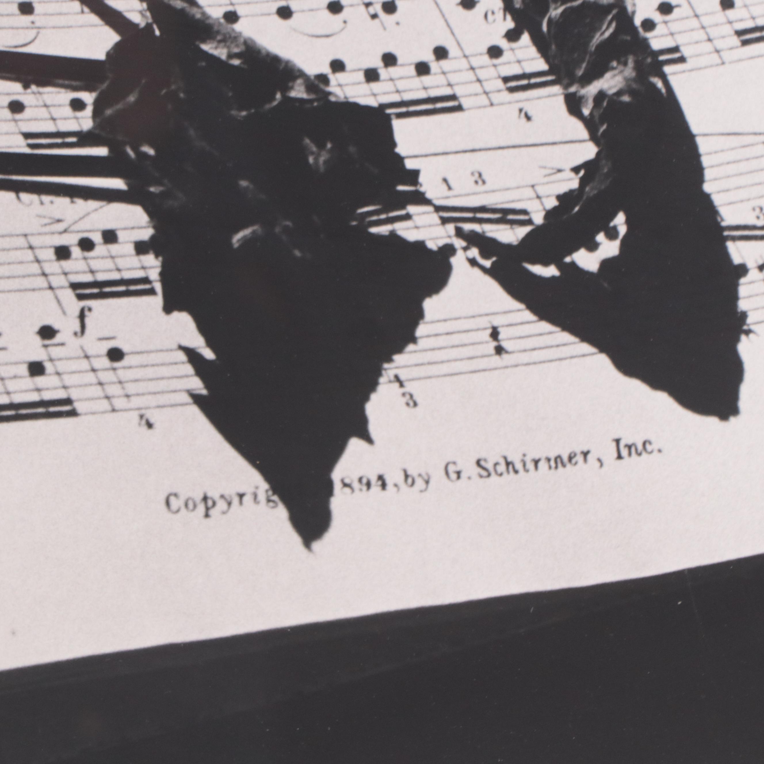 Bernyce Alpert Winick Silver Gelatin Photograph "9/11," 21st Century