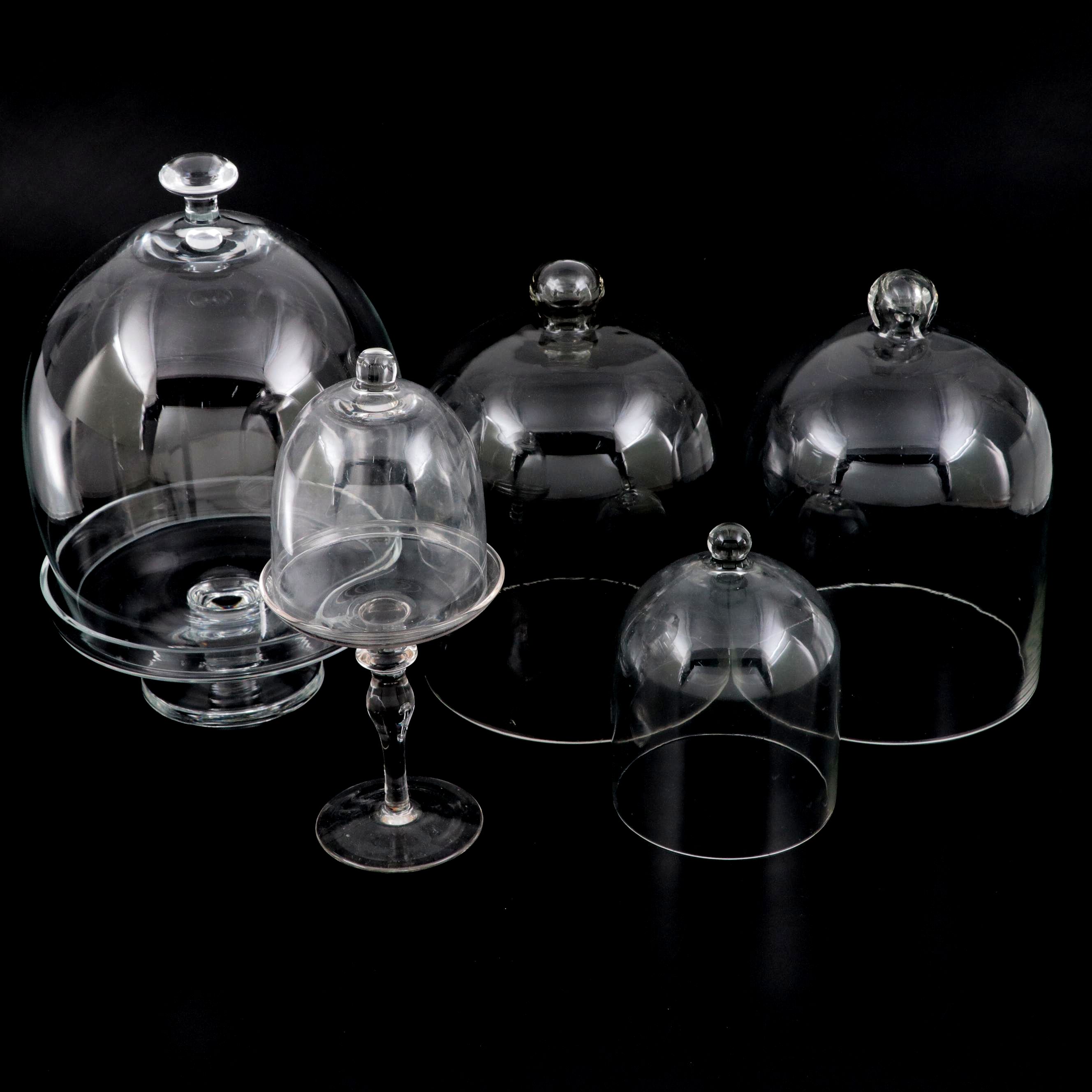 Clear Glass Cloches with Pedestal Stands