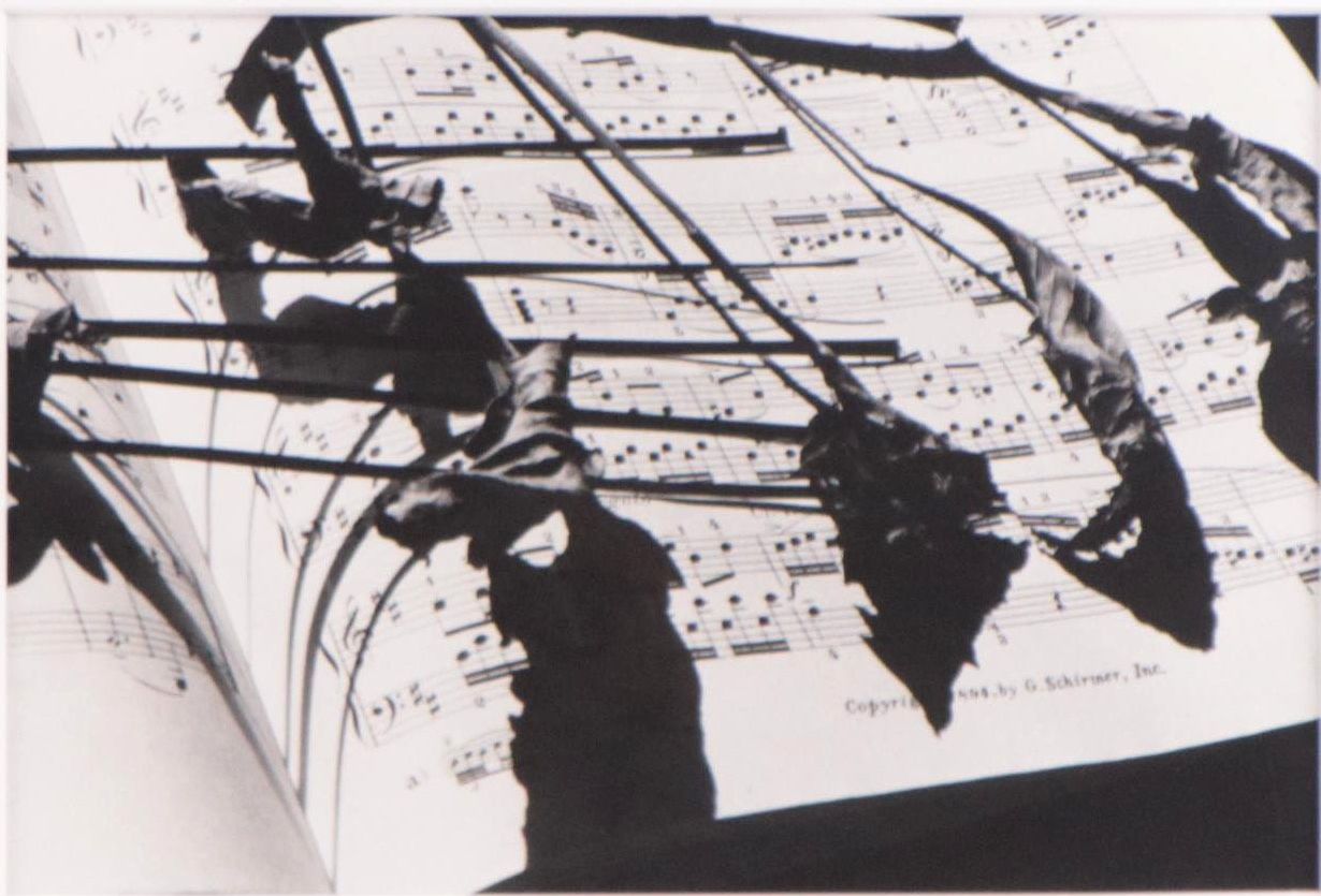 Bernyce Alpert Winick Silver Gelatin Photograph "9/11," 21st Century