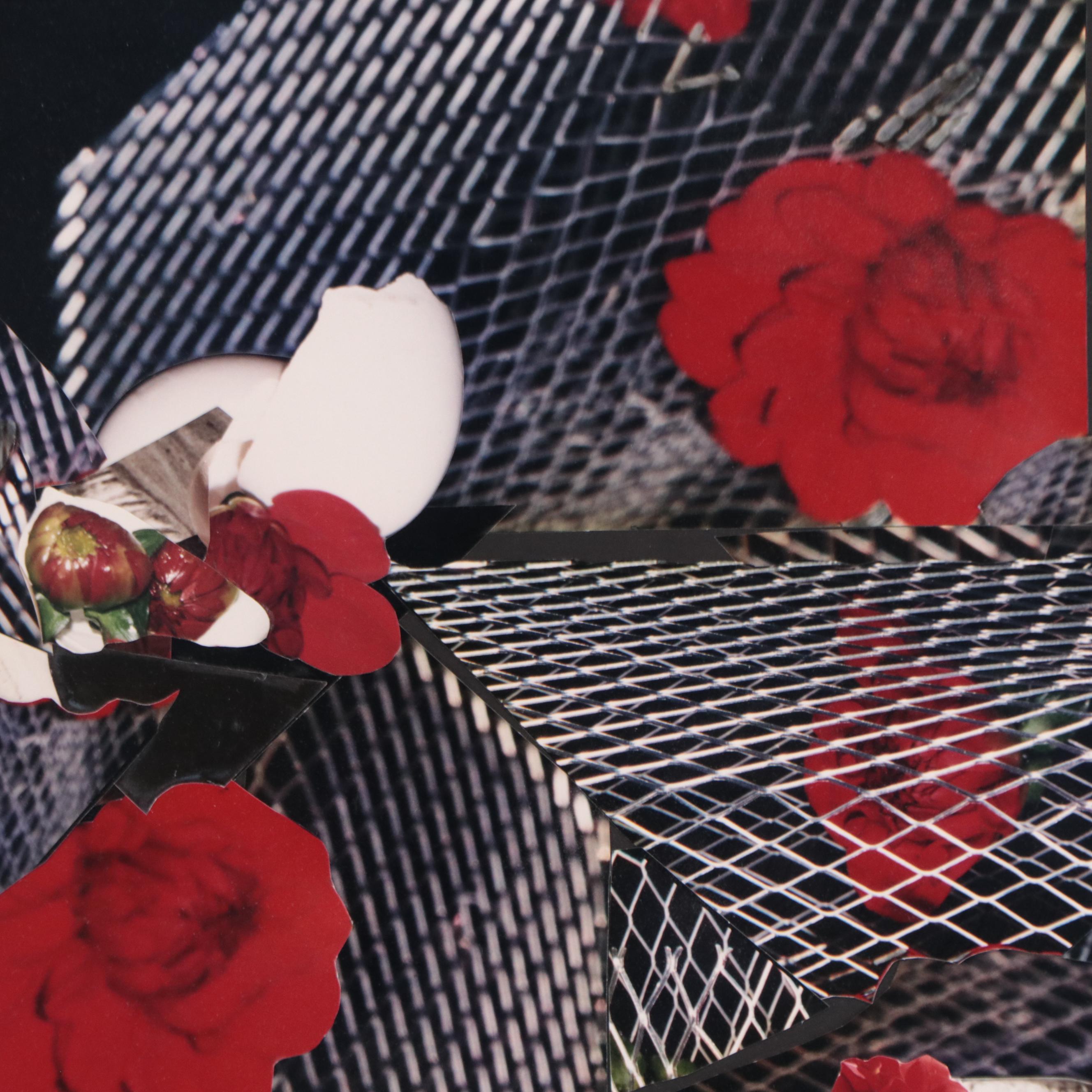 Bernyce Alpert Winick Mixed Mixed Print Collage of Flowers