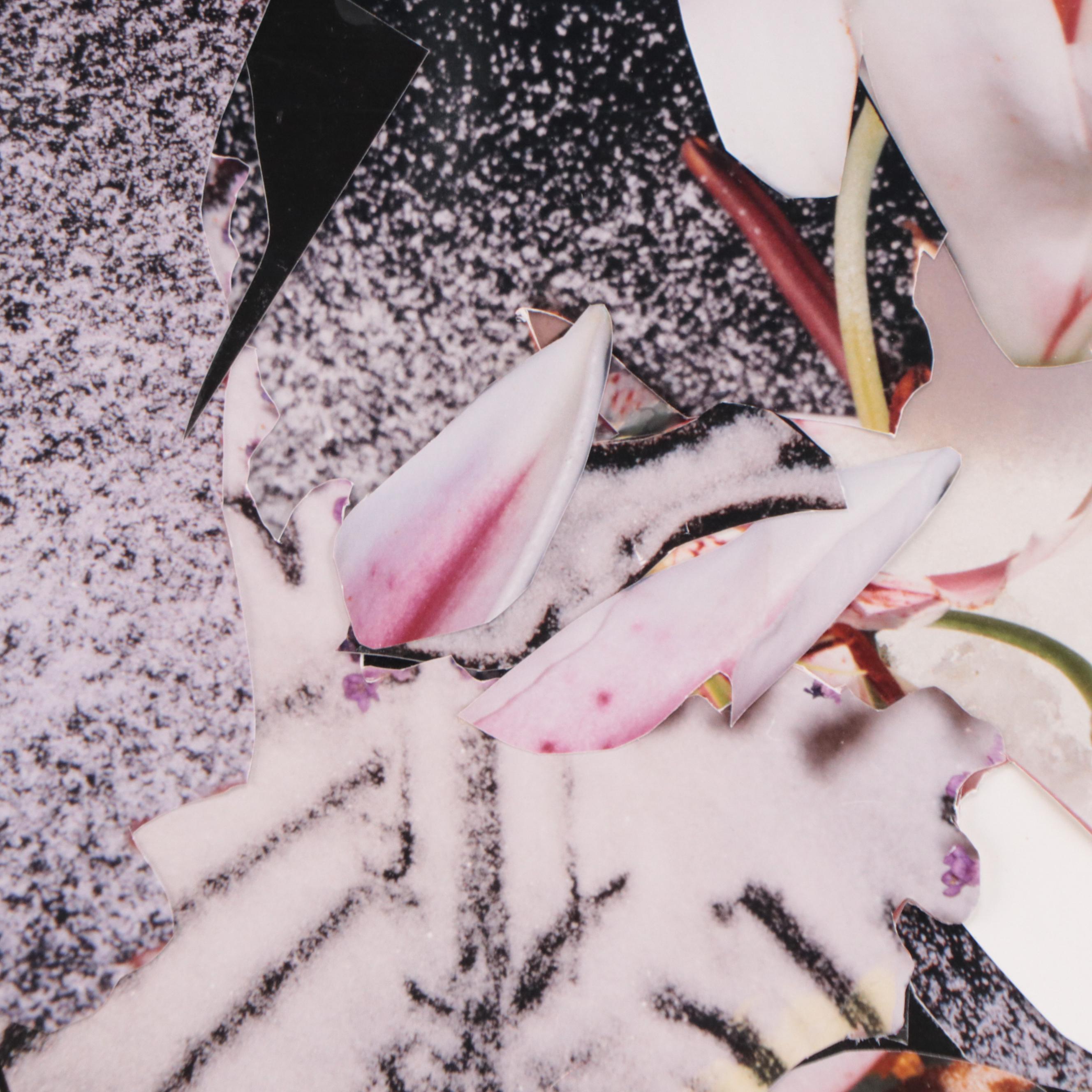 Bernyce Alpert Winick Giclée Collage of Stargazers