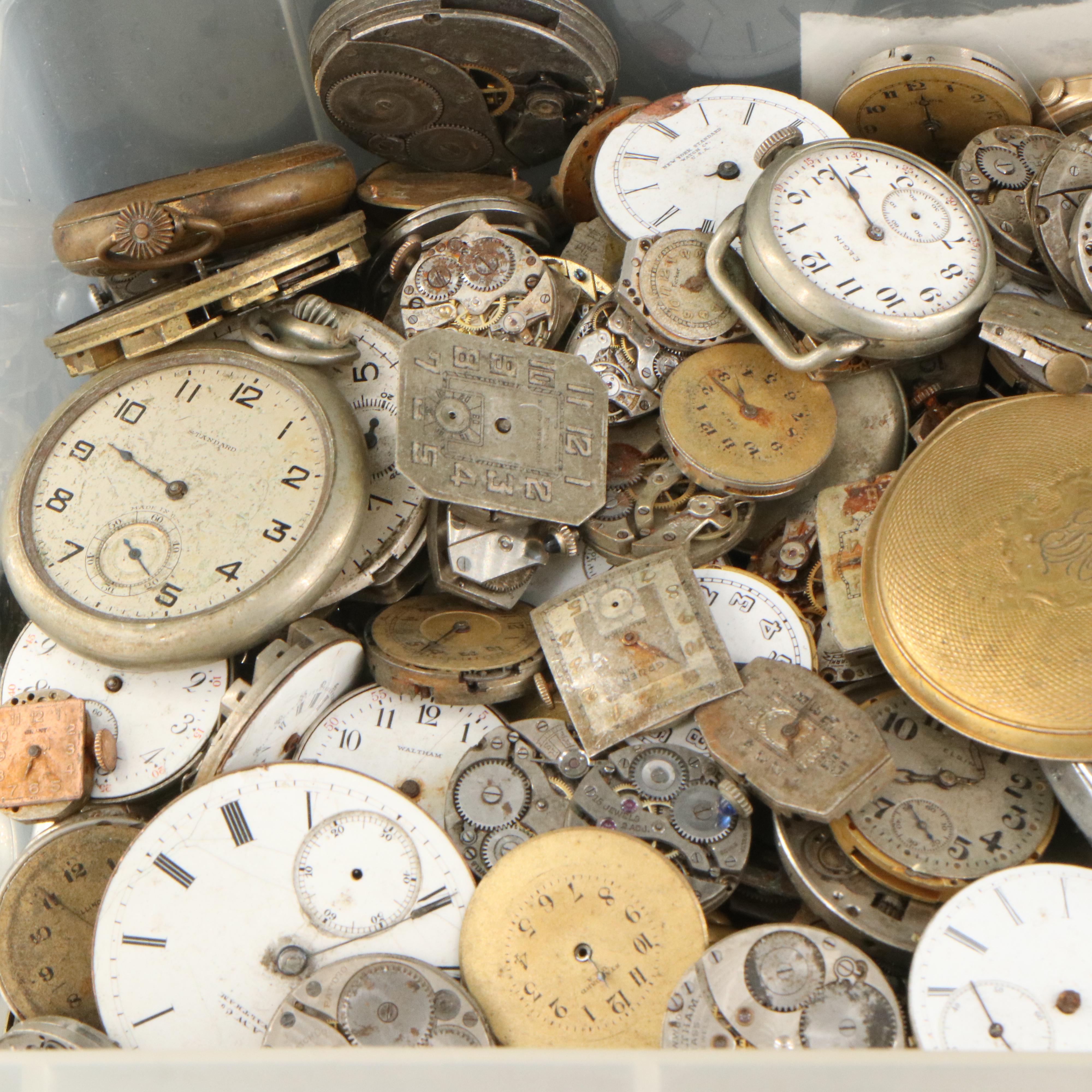 Uncommon Discoveries: Watch Collection