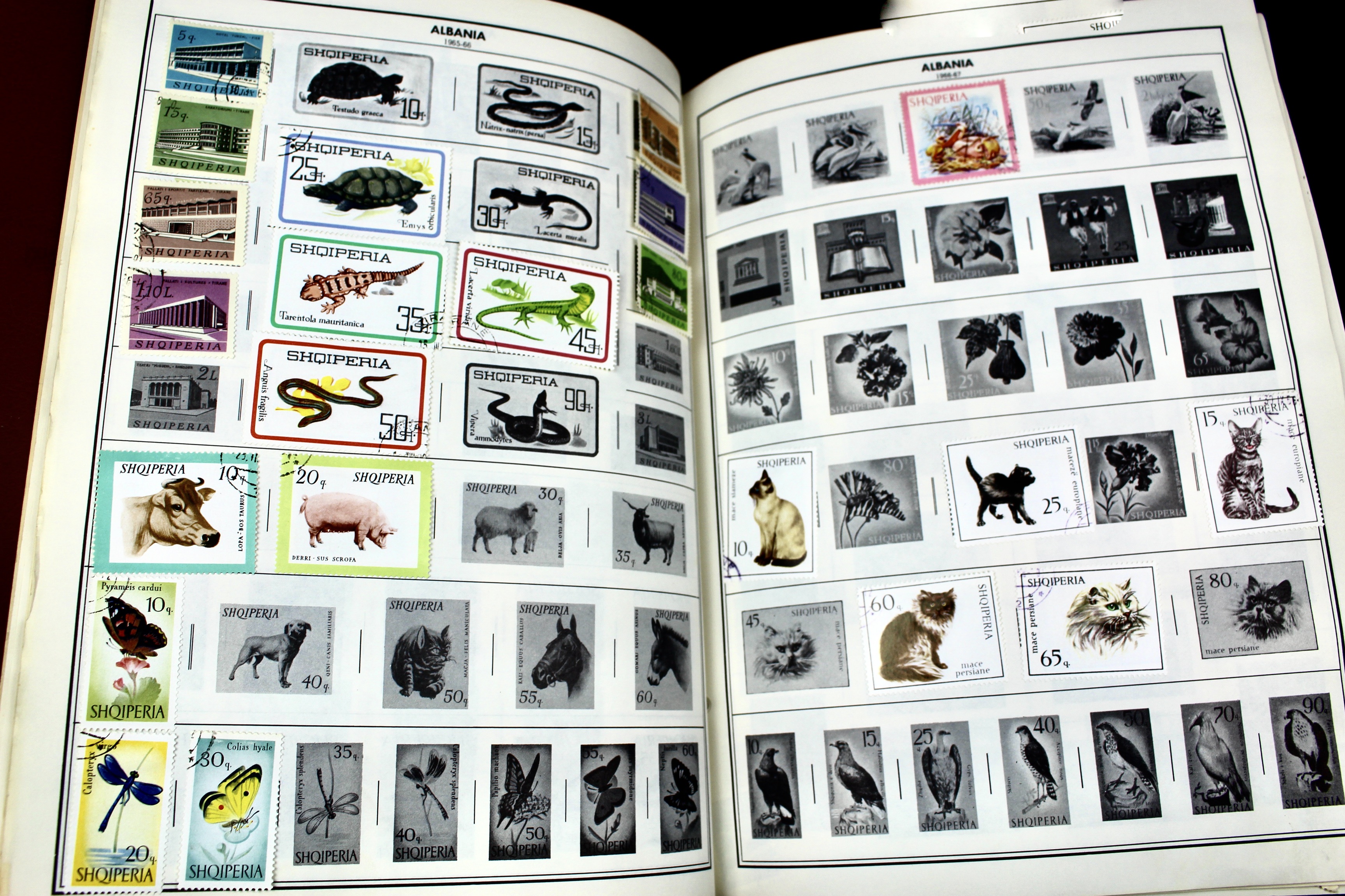 Gigantic Citation Postage Stamp Album