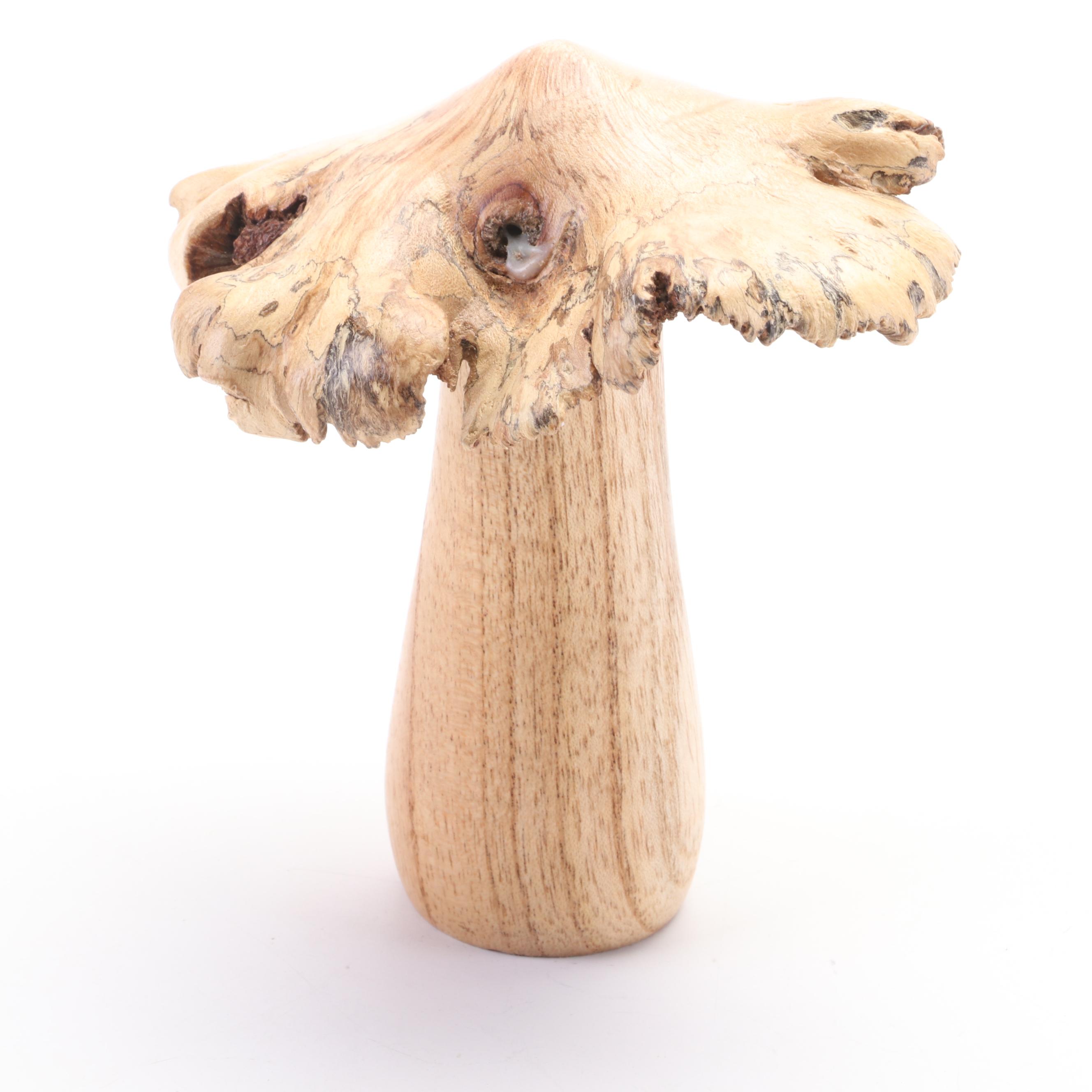 Patricia Yunkes Driftwood and Wicker Sculpture with Burl Toadstools and Fungi