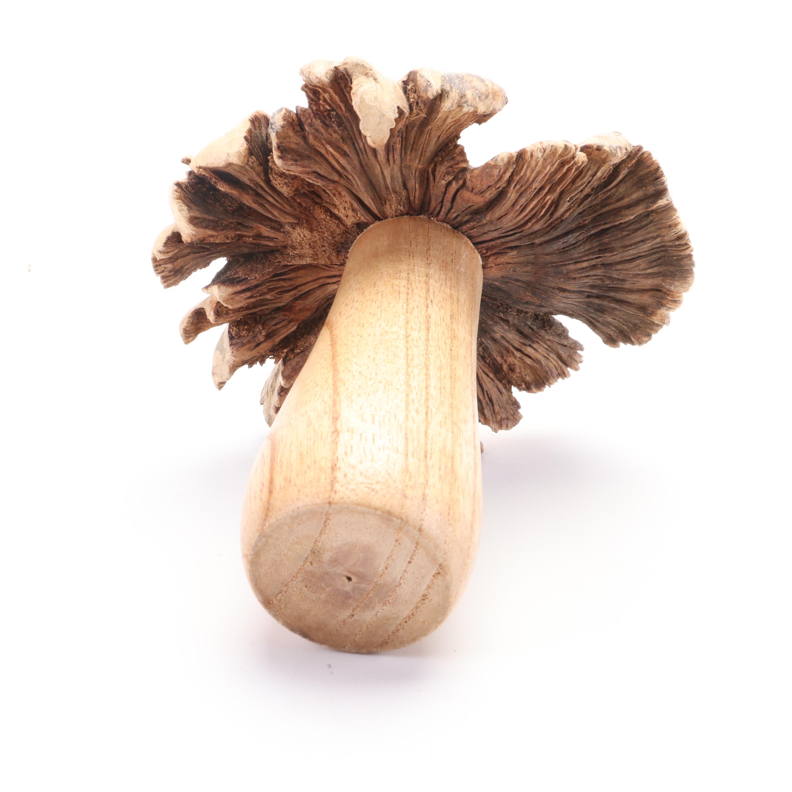 Patricia Yunkes Driftwood and Wicker Sculpture with Burl Toadstools and Fungi