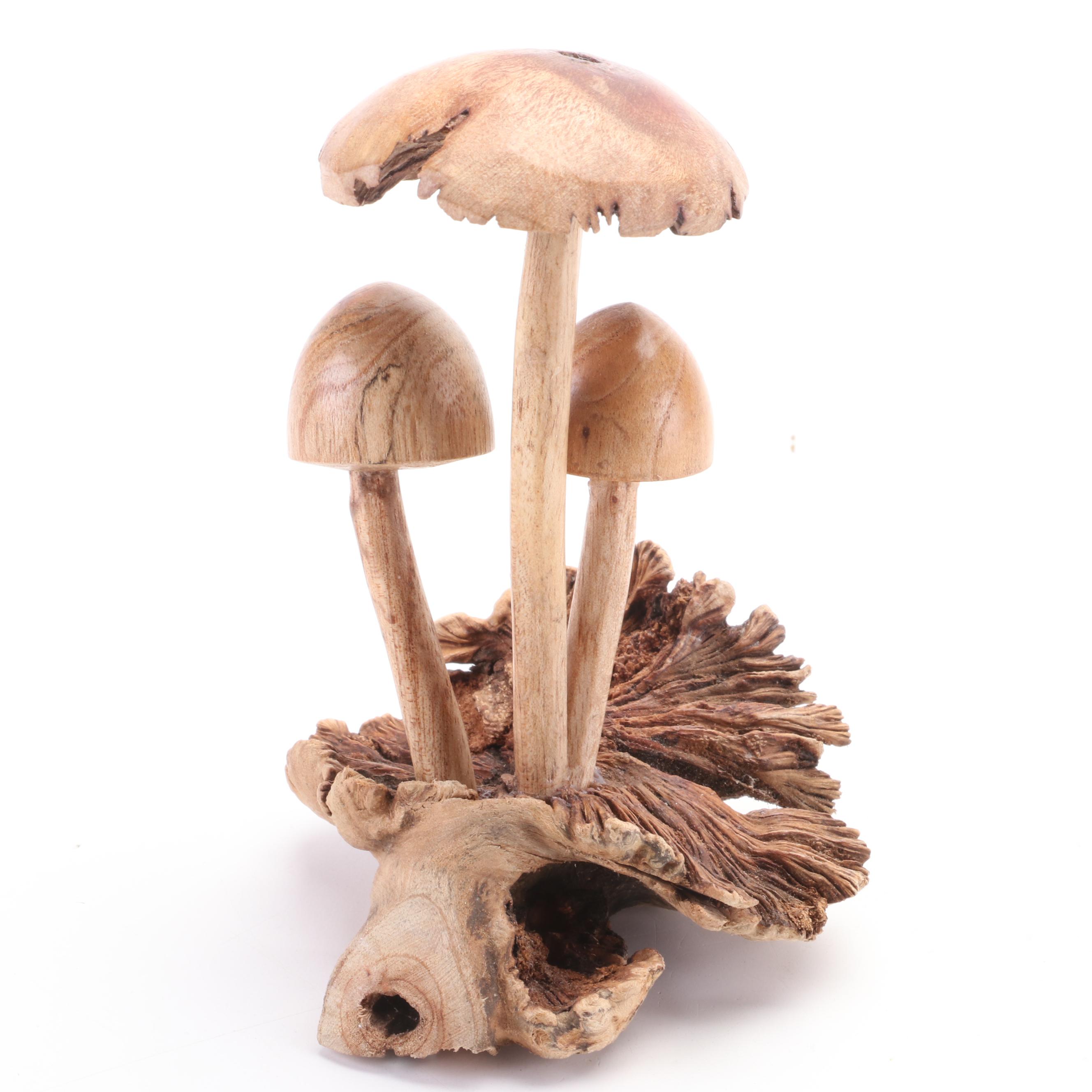 Patricia Yunkes Driftwood and Wicker Sculpture with Burl Toadstools and Fungi