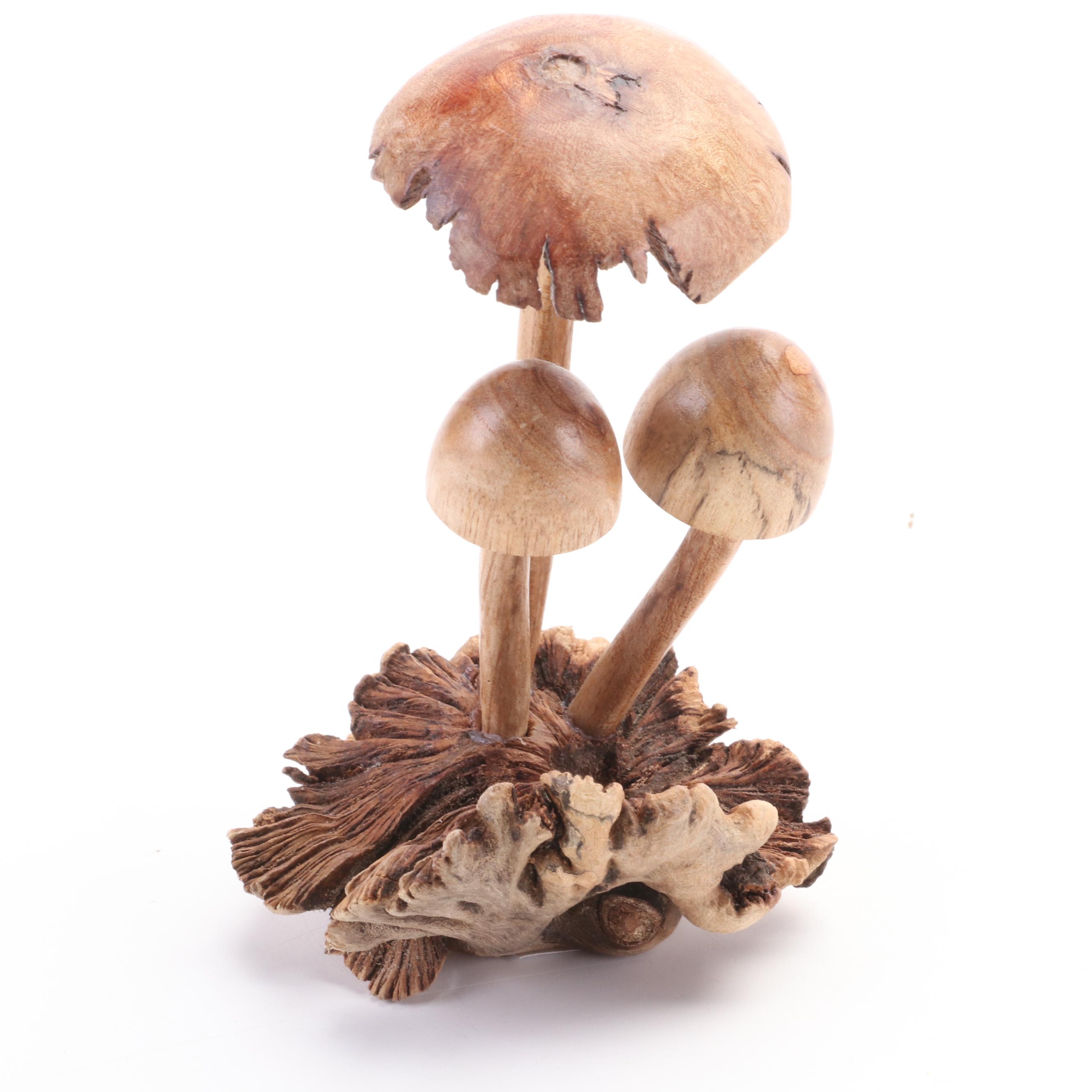 Patricia Yunkes Driftwood and Wicker Sculpture with Burl Toadstools and Fungi