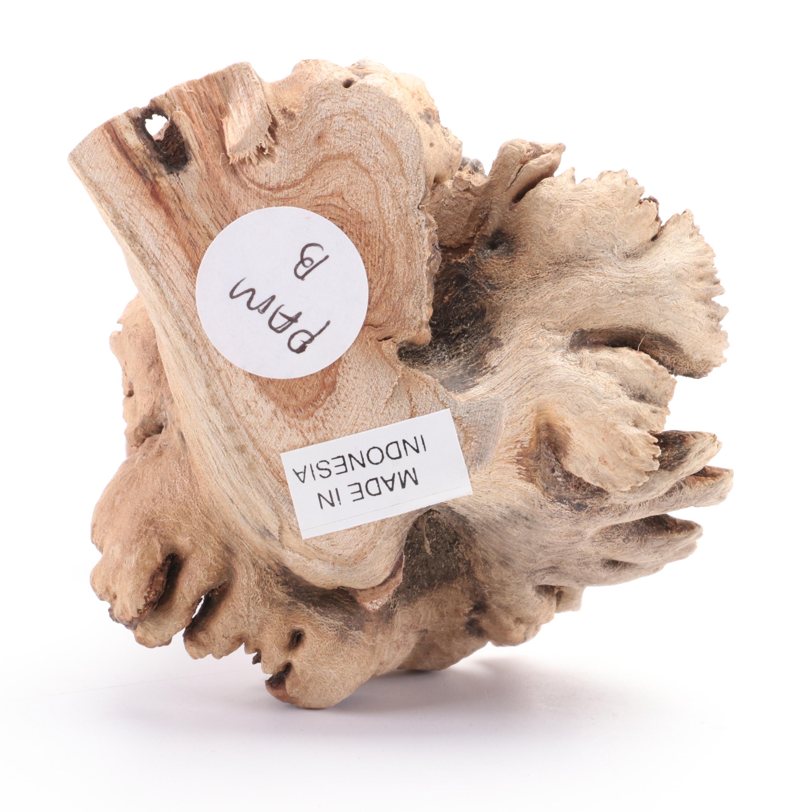 Patricia Yunkes Driftwood and Wicker Sculpture with Burl Toadstools and Fungi