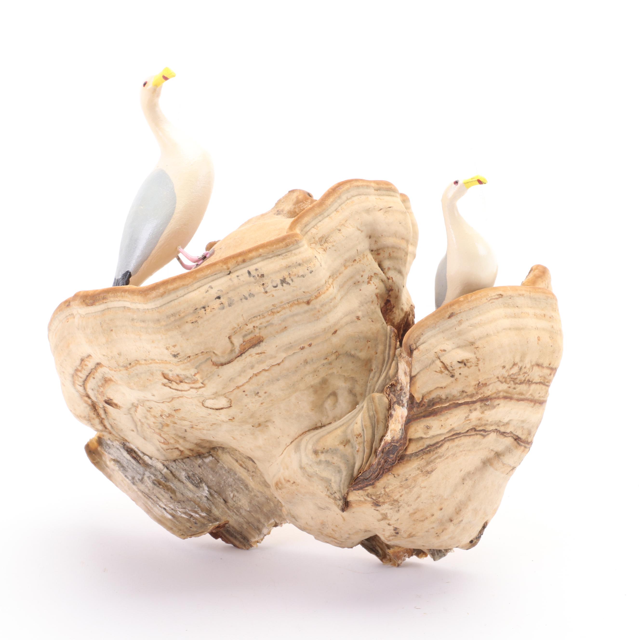 Patricia Yunkes Driftwood and Wicker Sculpture with Burl Toadstools and Fungi