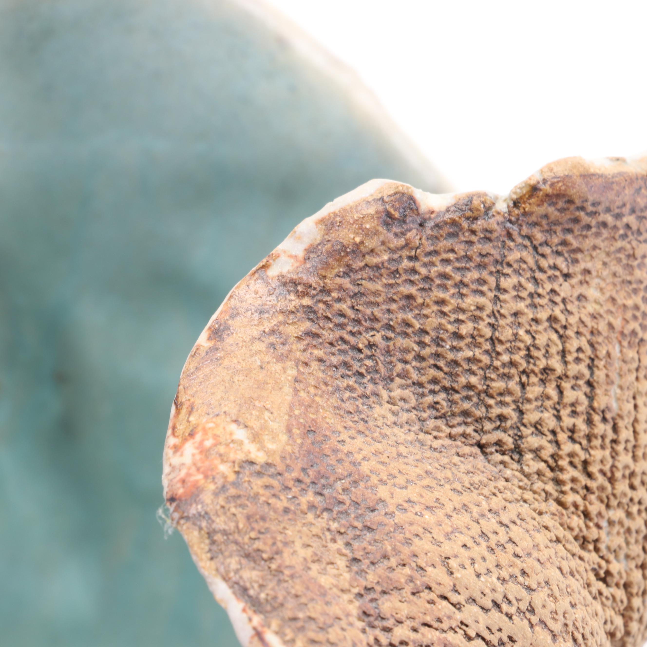 Artist Signed Studio Pottery Textured Ceramic Vase, 2000