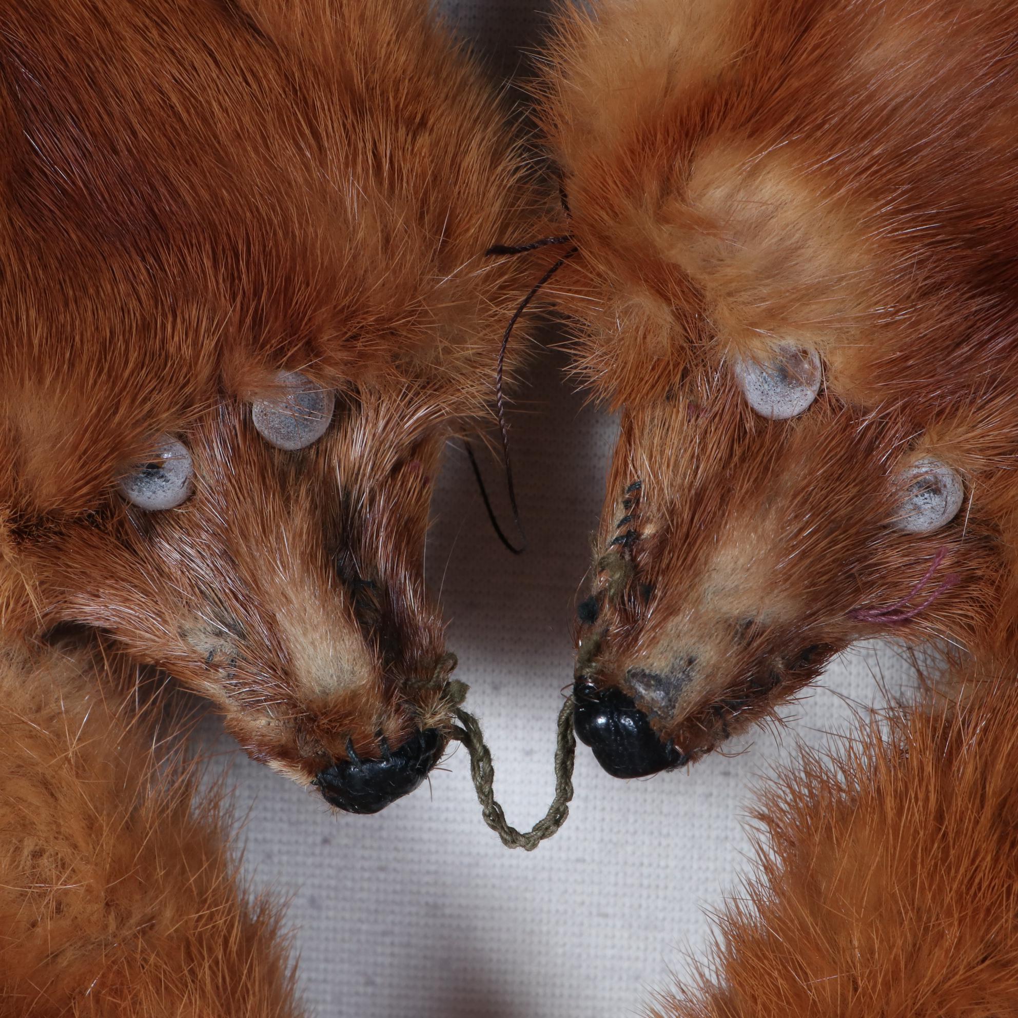 Marten Fur Pelt Stole