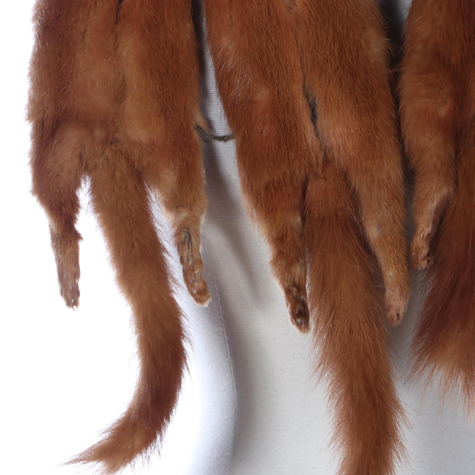 Marten Fur Pelt Stole