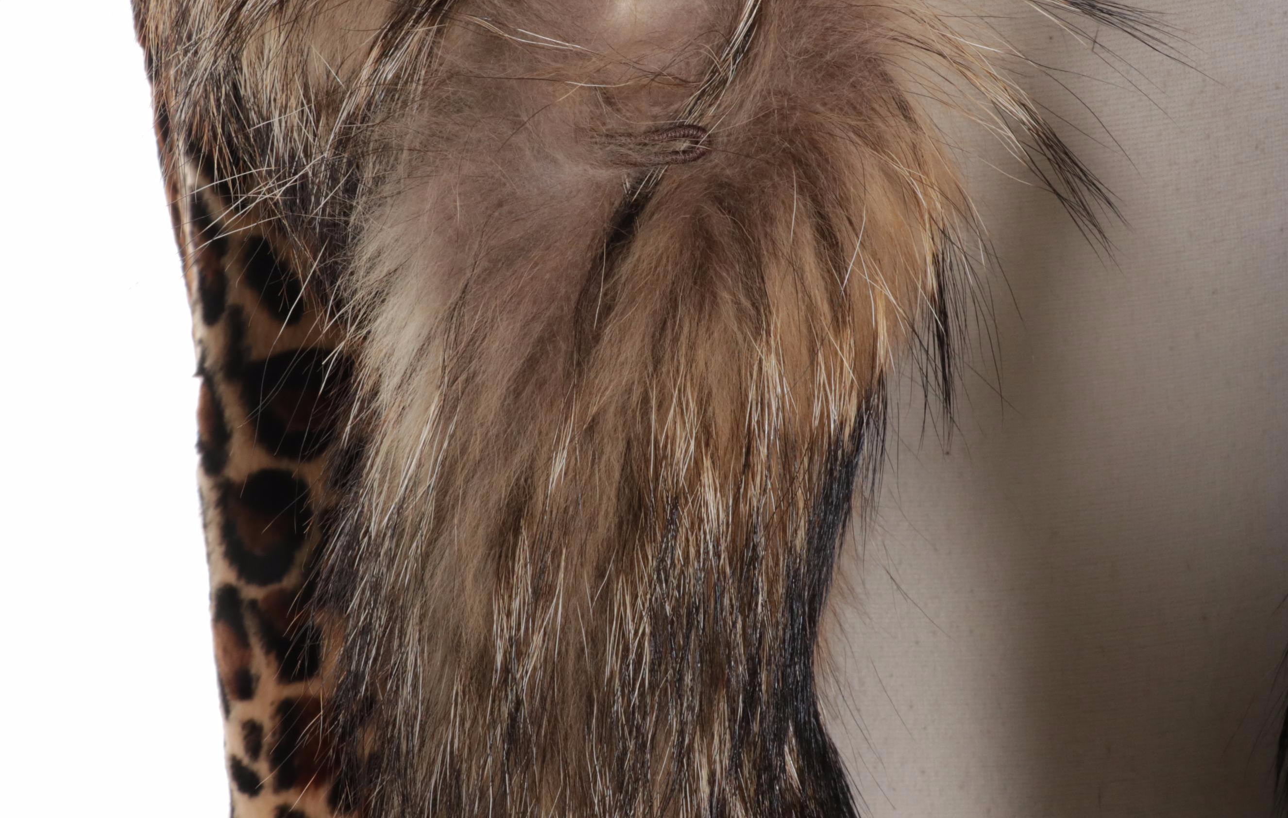 Sakowitz Cheetah Print Dyed Mink Fur Coat with Raccoon Fur Trim