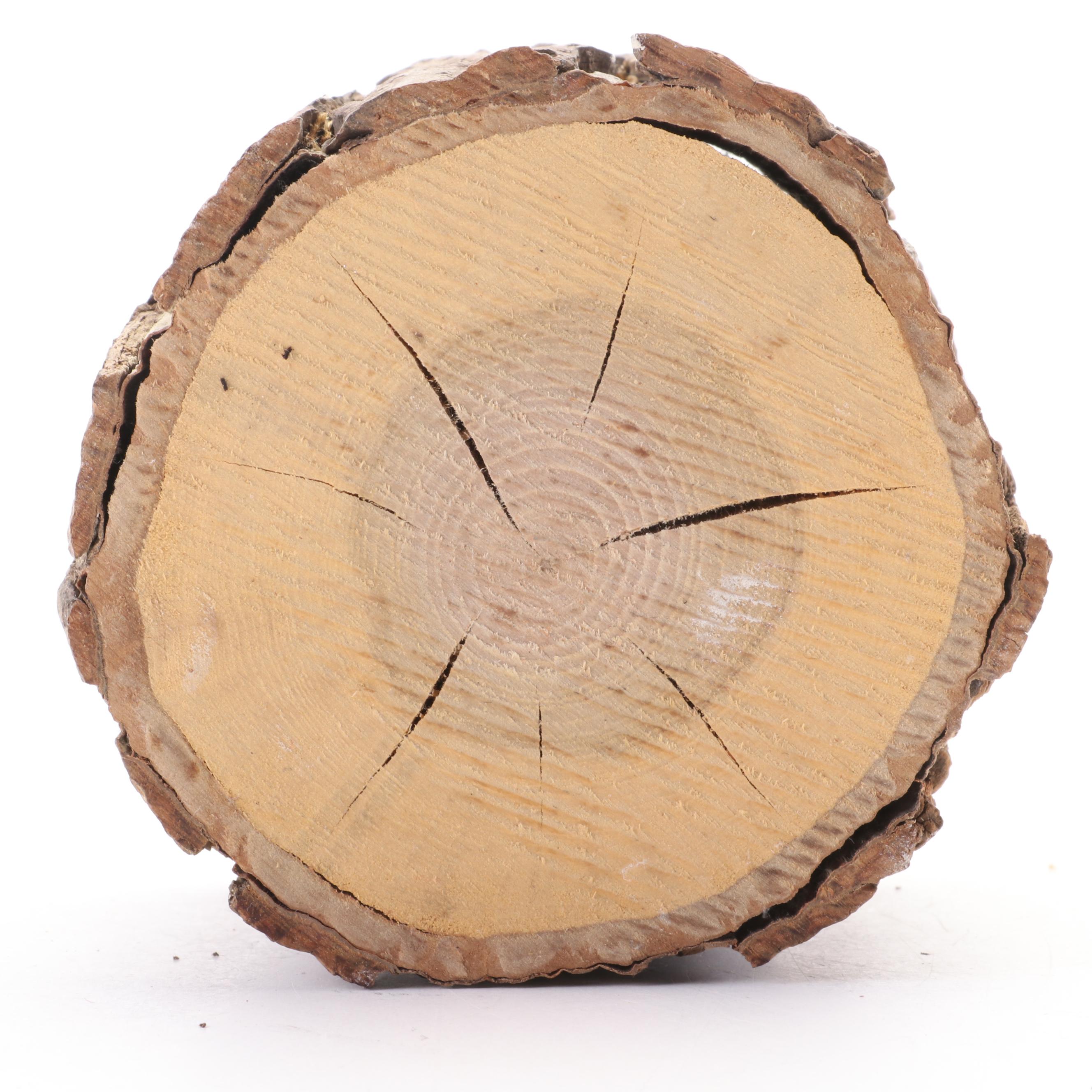 Hector Rascon Signed St. Francis of Assisi Wood Sculpture with Bird Adornments