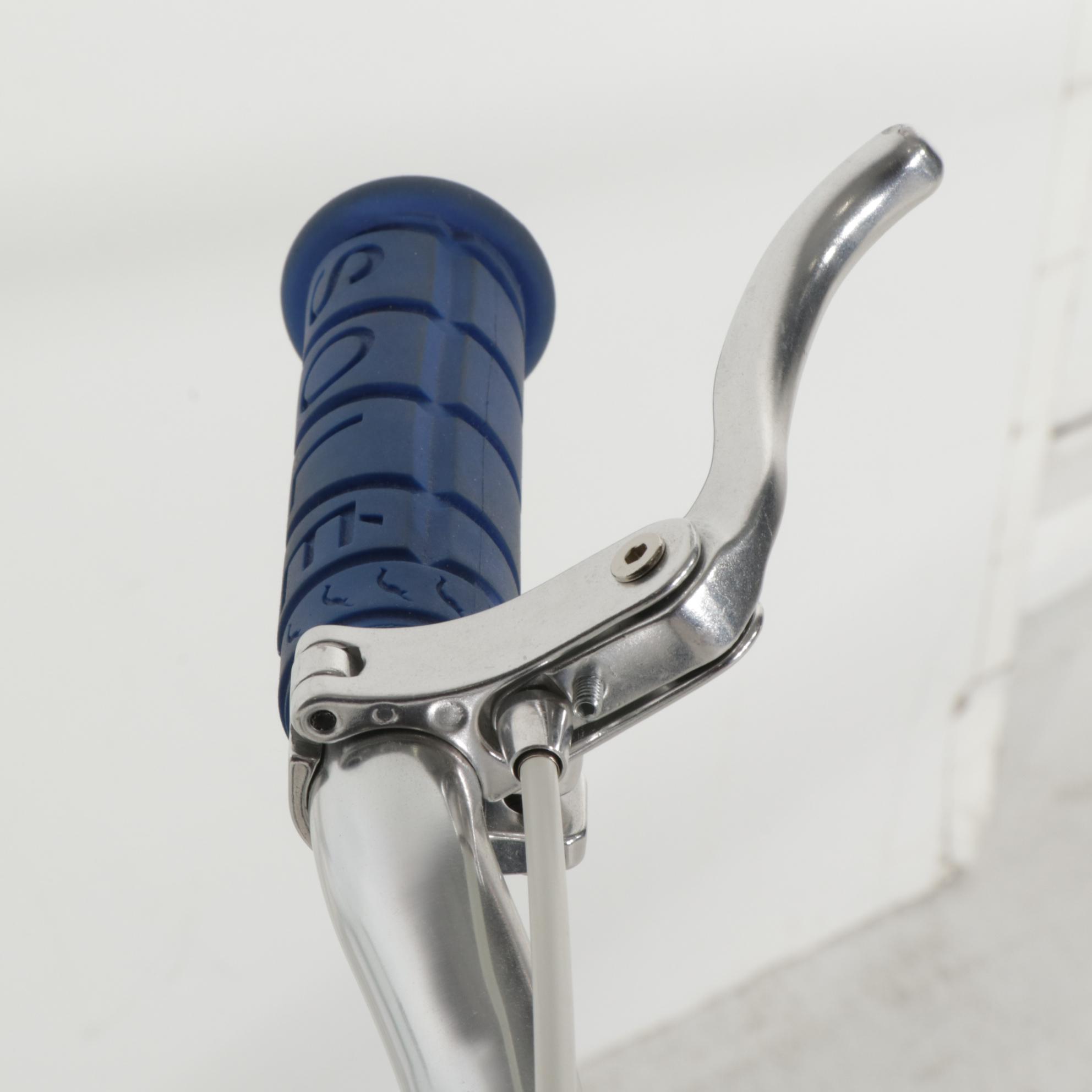 Sole Limited Edition Pelotonia One-Speed Bicycle