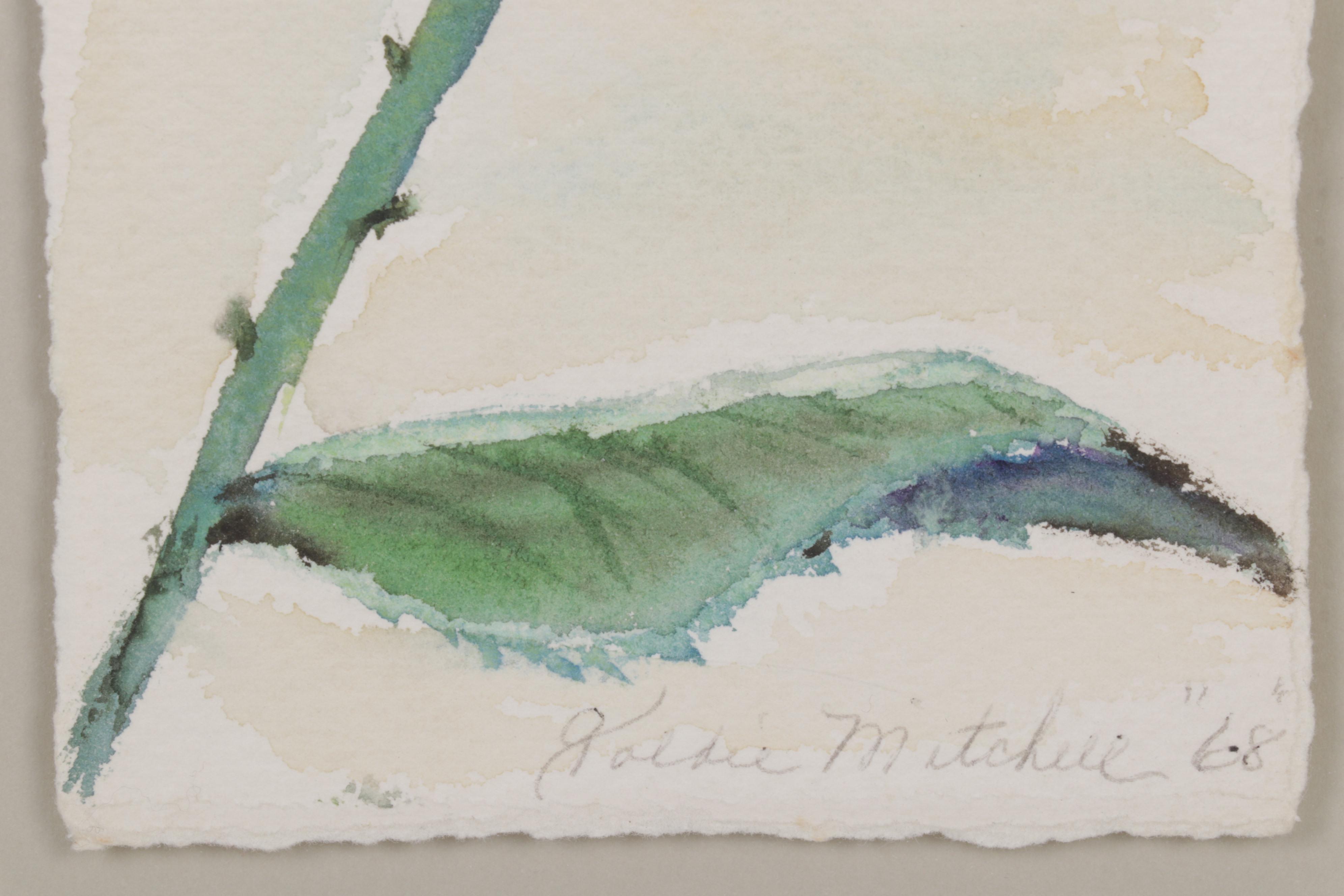 Goldie Mitchell Watercolor Painting of Rose, 1968