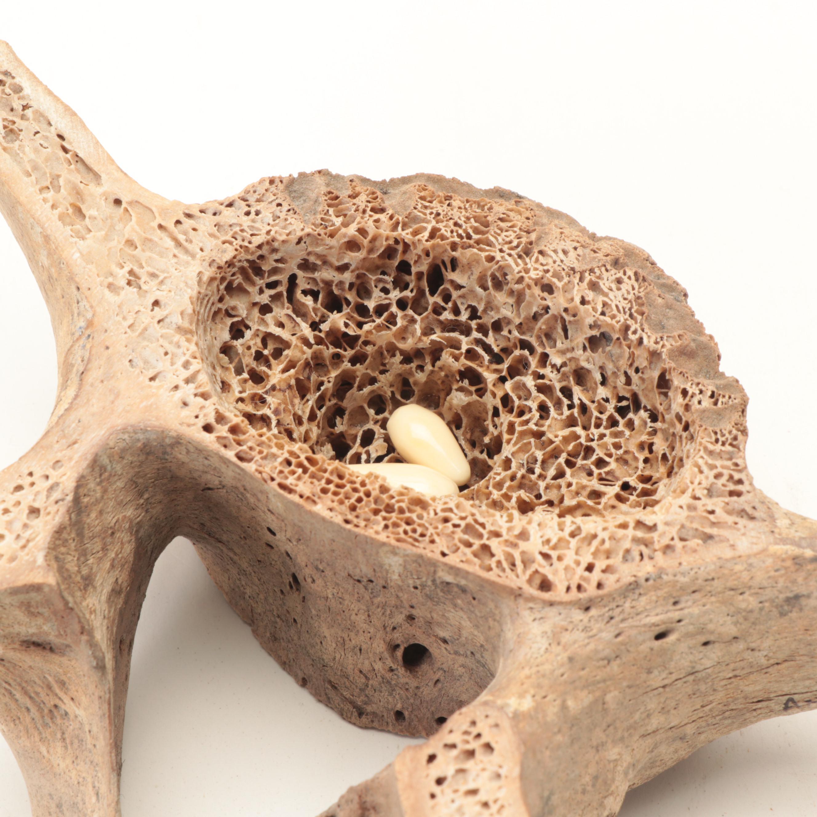 Chris Aningayou Yupik Alaskan Fossil Whalebone, Walrus Ivory "Canada Goose"