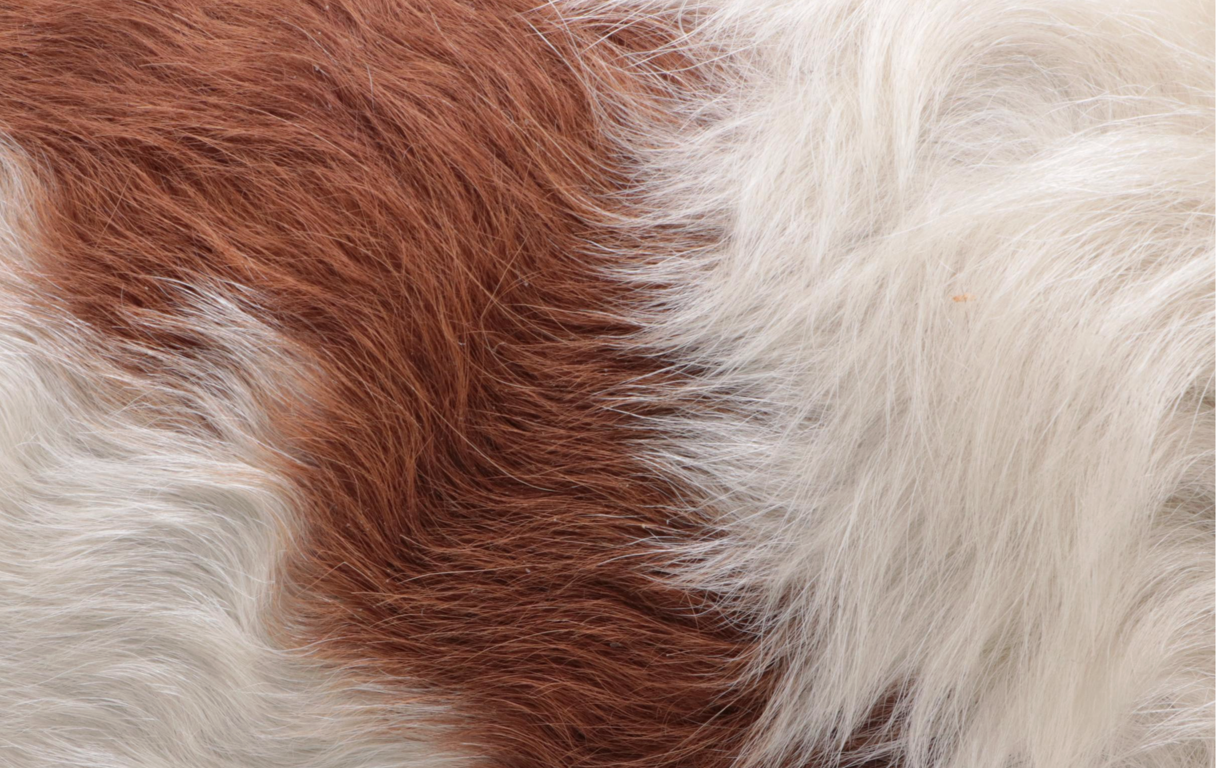 Horse Hair Diamond Patchwork Placemat and Calf Hide Bolster Pillow