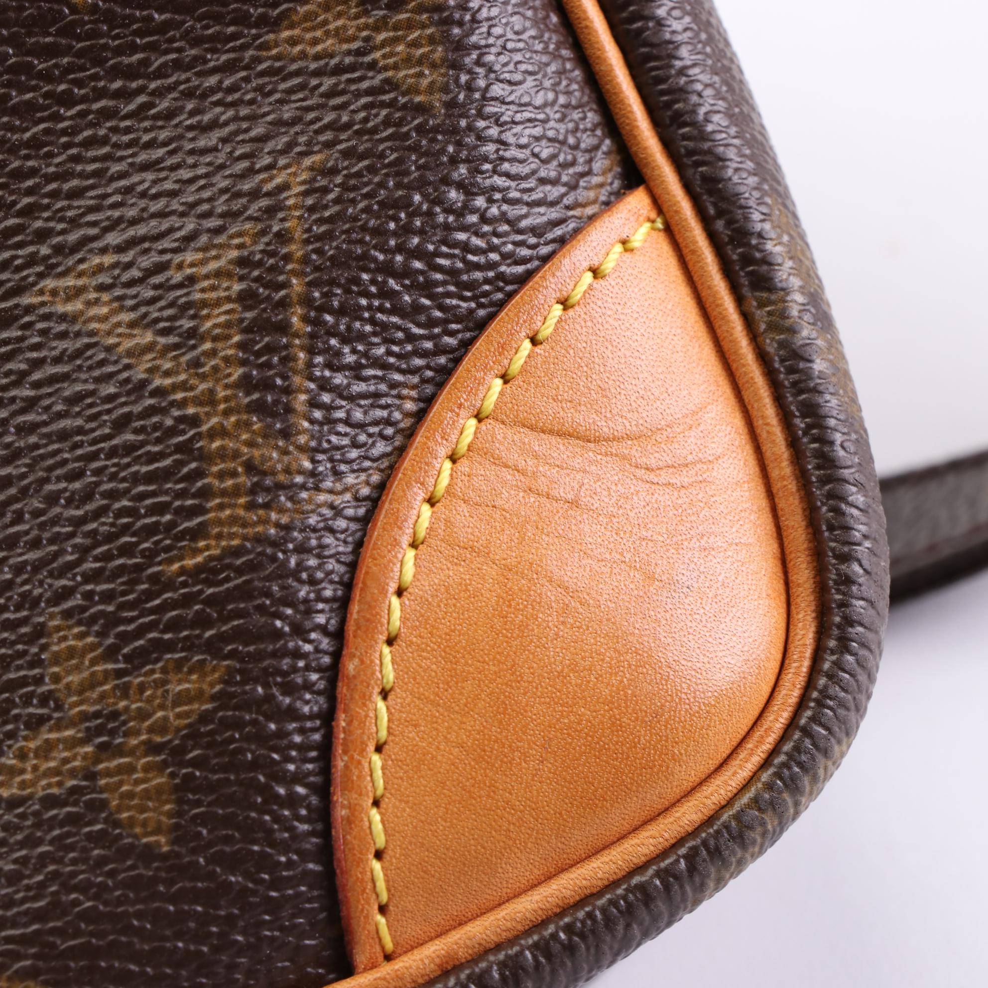 Louis Vuitton Danube Bag in Monogram Canvas