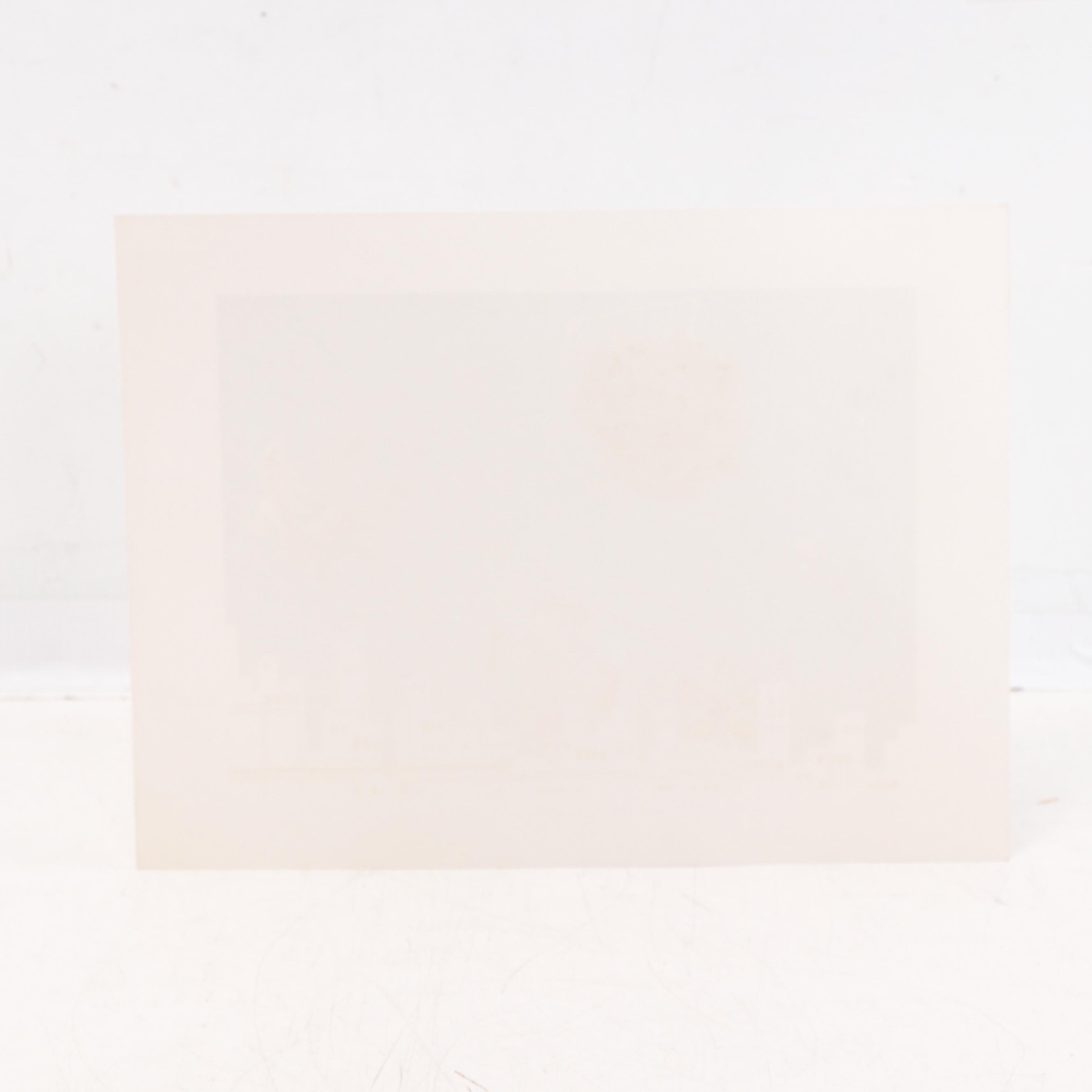 Surreal Serigraph "The Four Seasons"