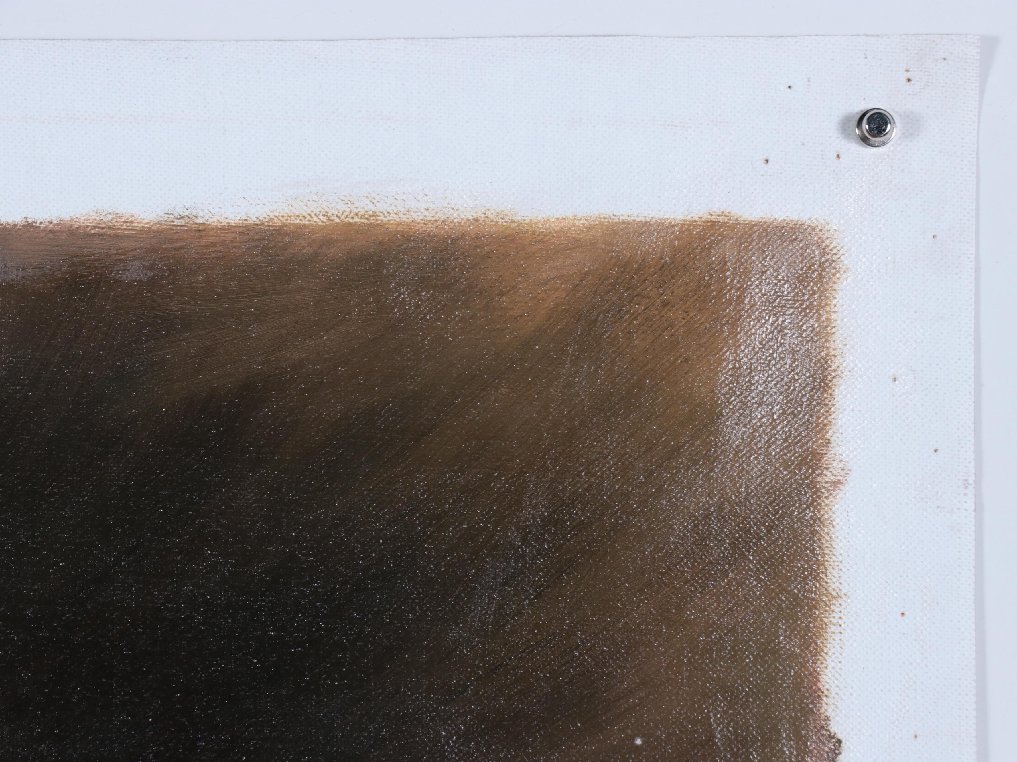 Thomas Native American Portrait Oil Painting, 21st Century