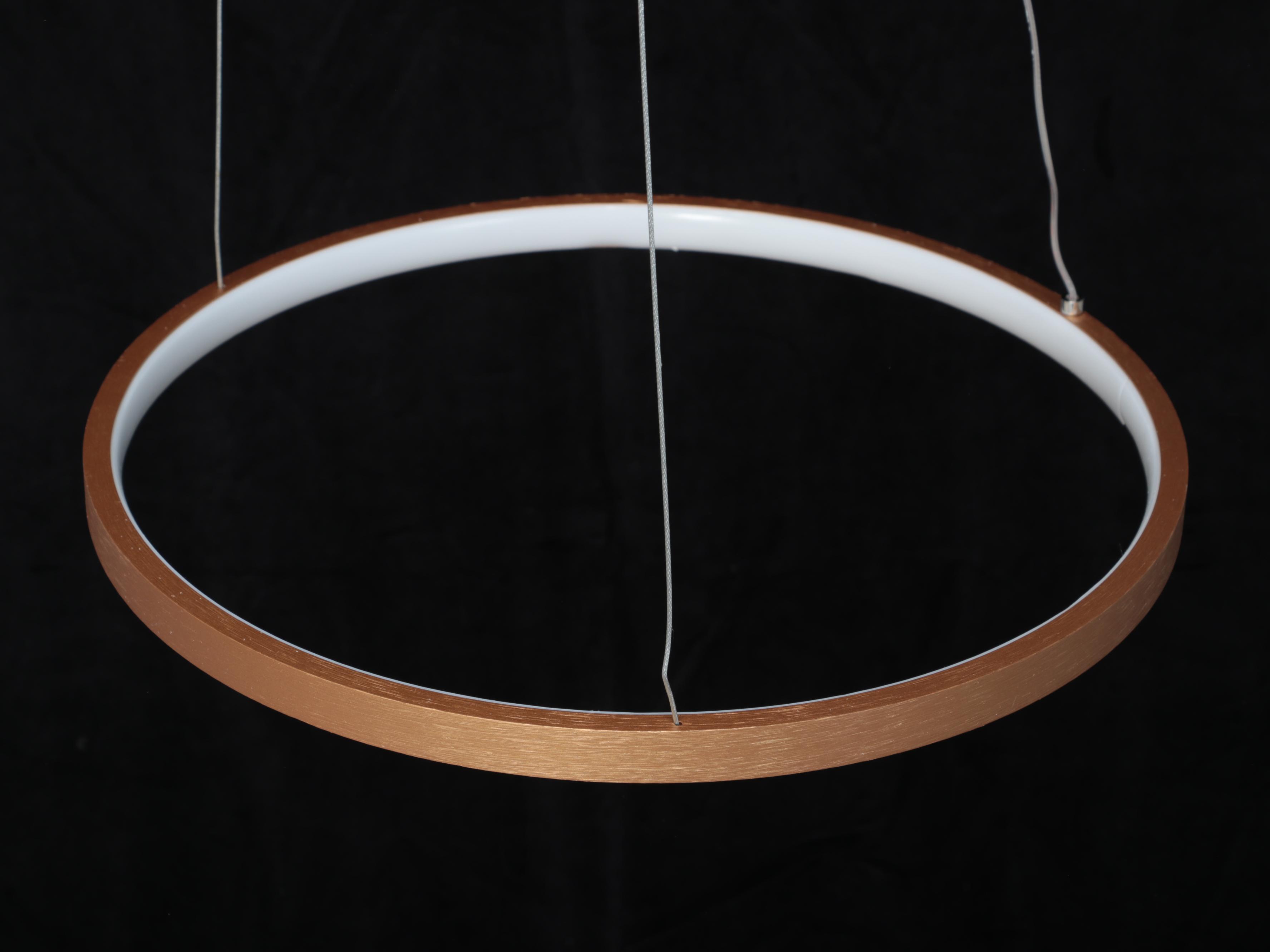 Modern Gold LED Pendant Light Ring