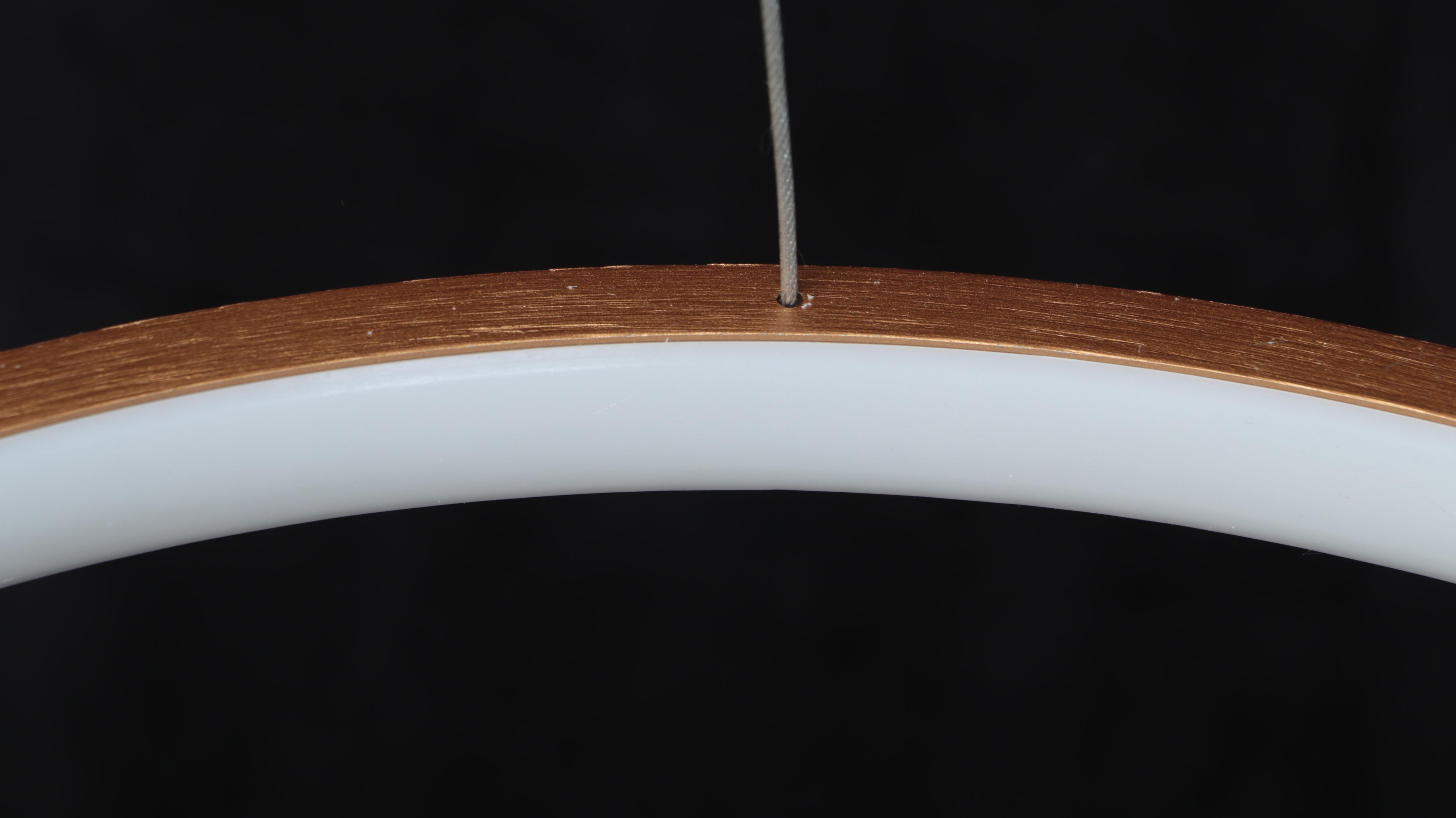 Modern Gold LED Pendant Light Ring