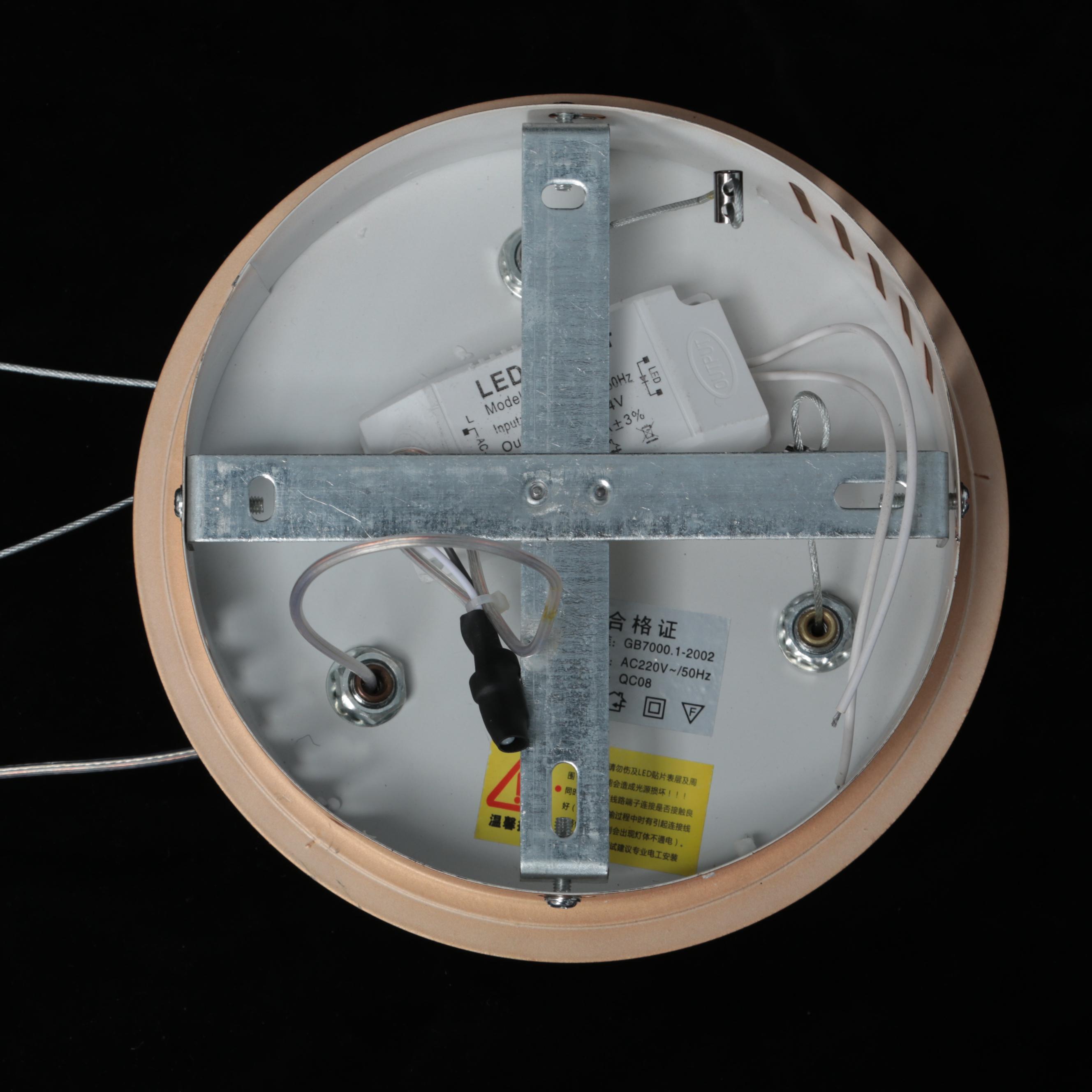 Modern Gold LED Pendant Light Ring