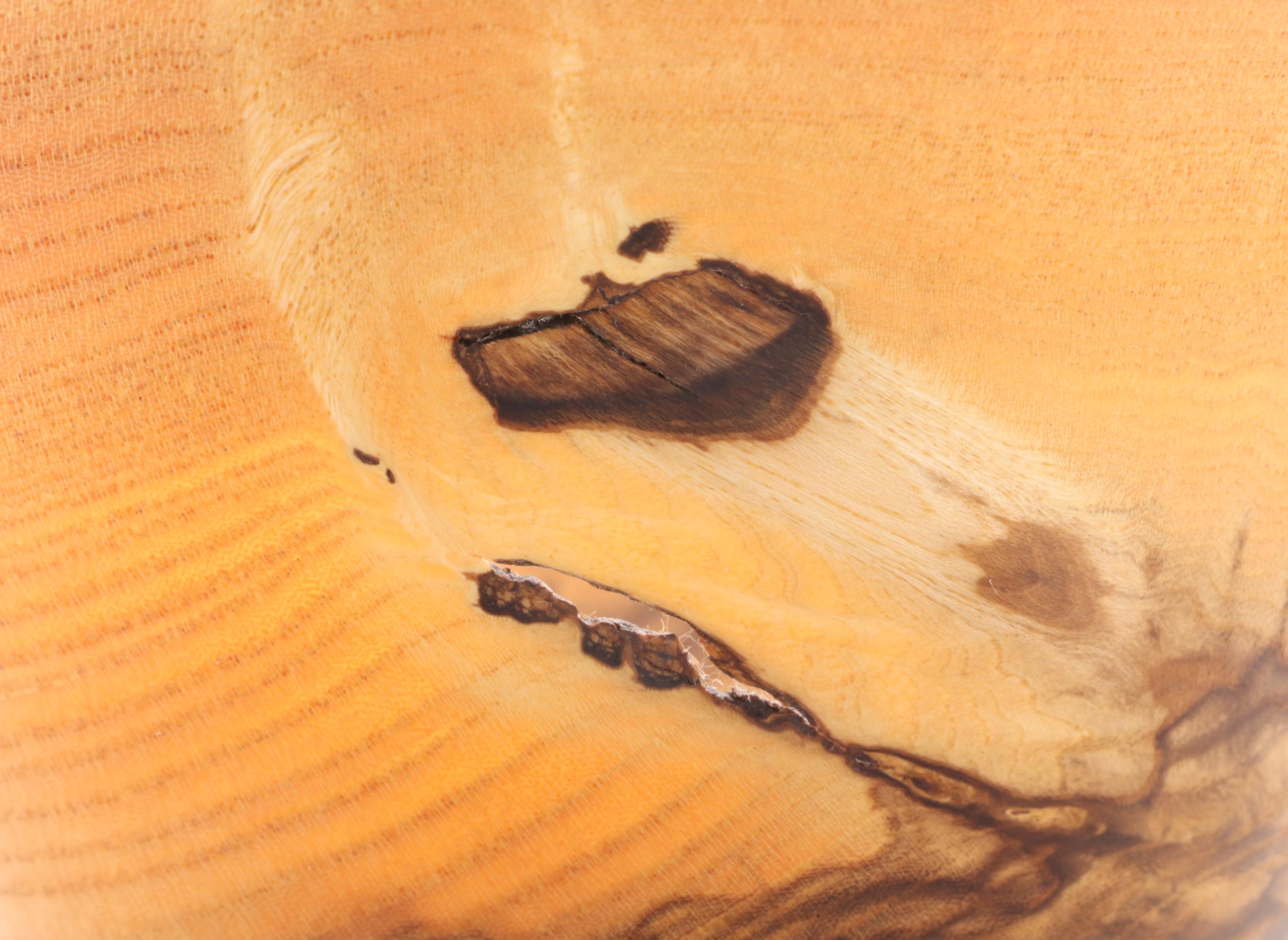 Ash, Elm Burl and Dogwood Handcrafted Decorative Wooden Bowls