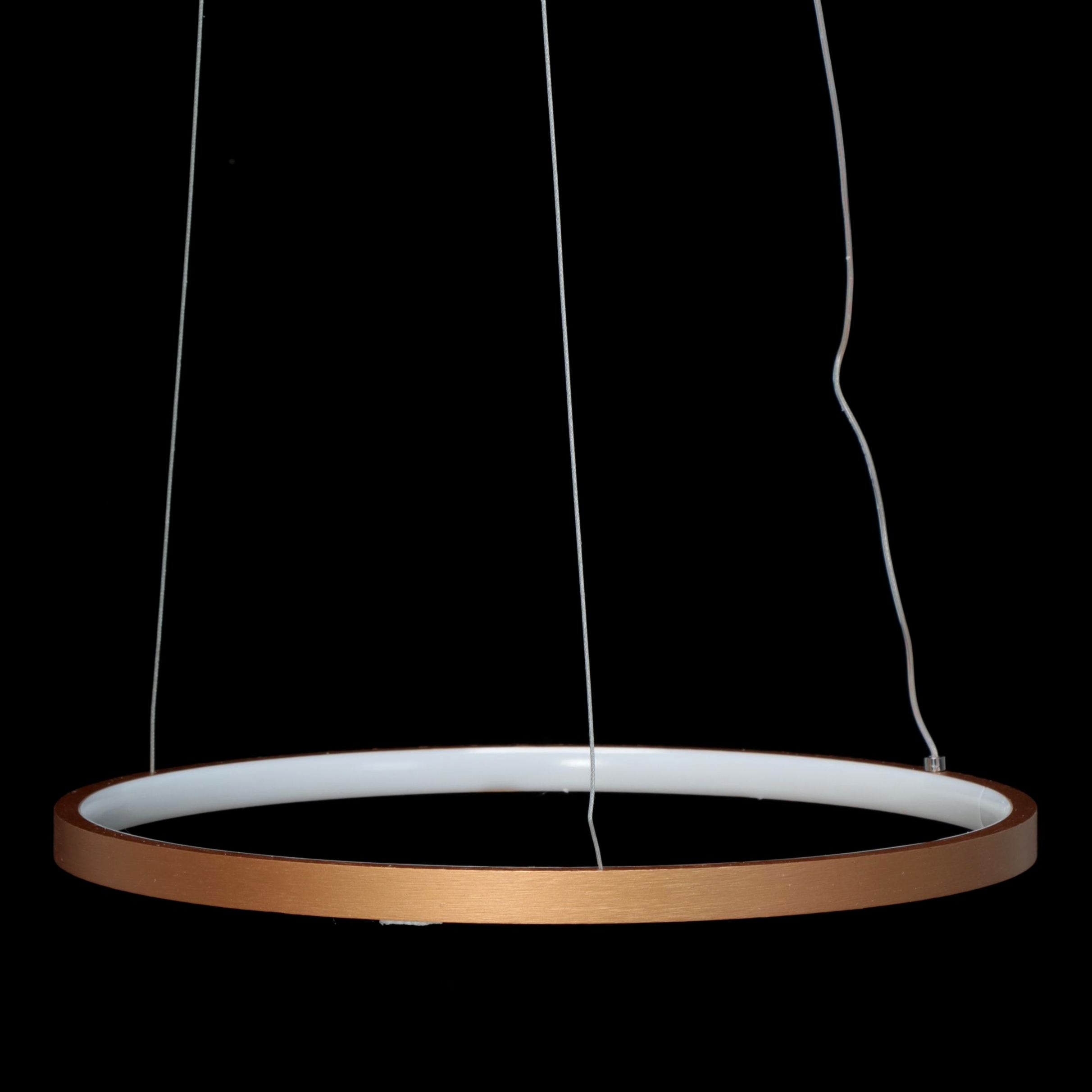 Modern Gold LED Pendant Light Ring