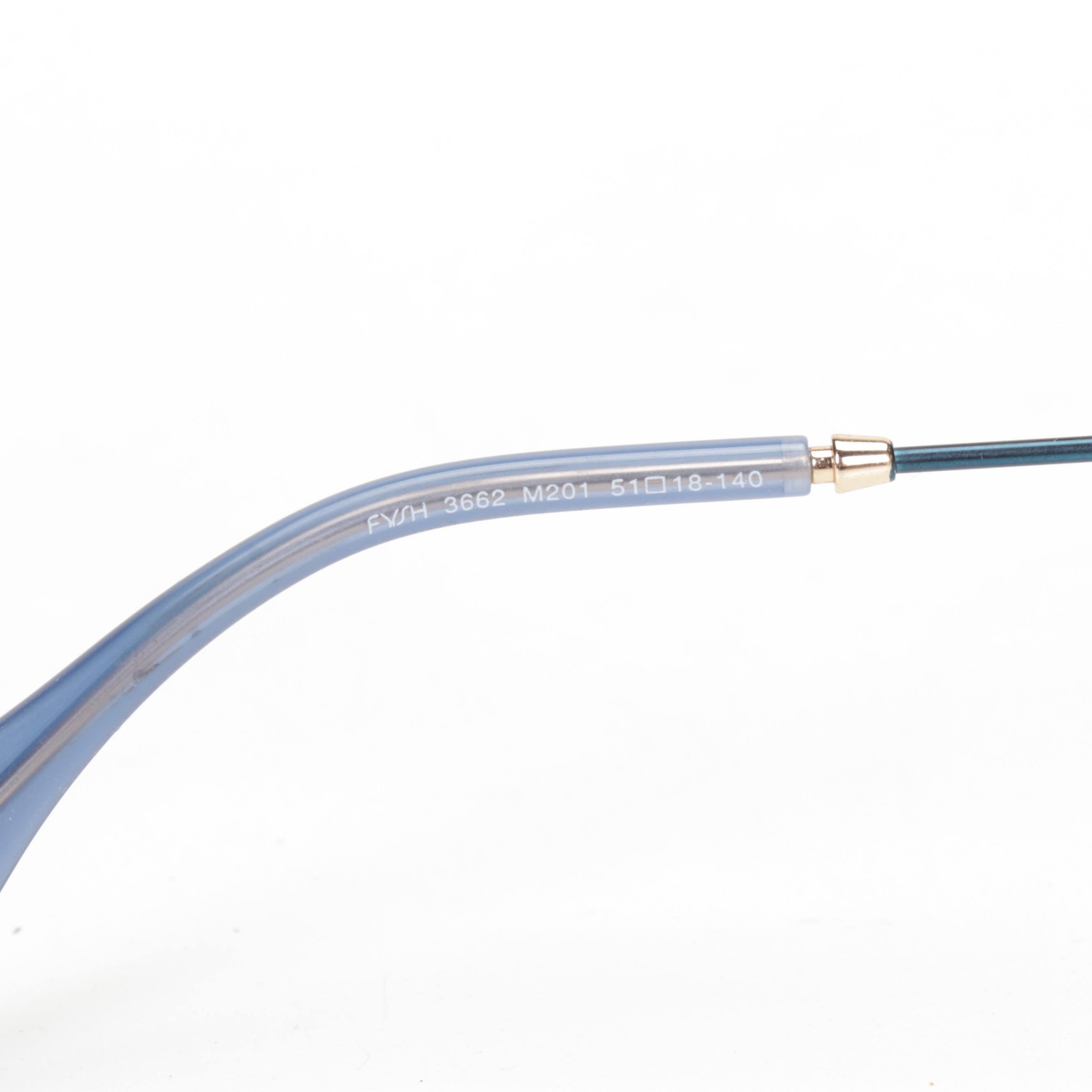 Salvatore Ferragamo Glasses with Case and Other Prescription Glasses