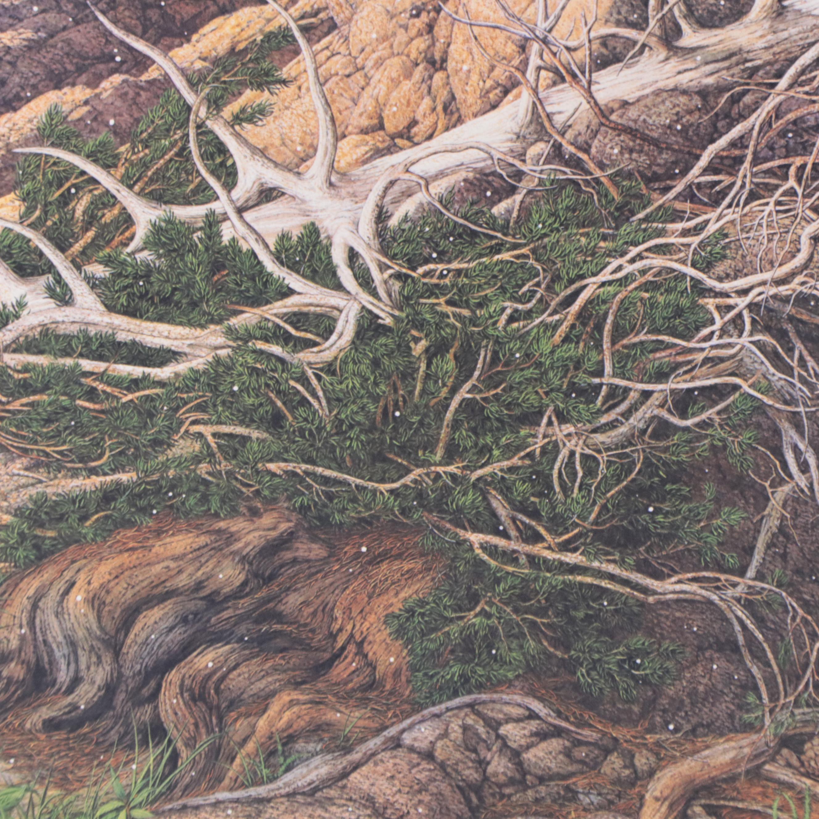 Bev Doolittle Offset Lithograph "Prayer for the Wild Things," 1993